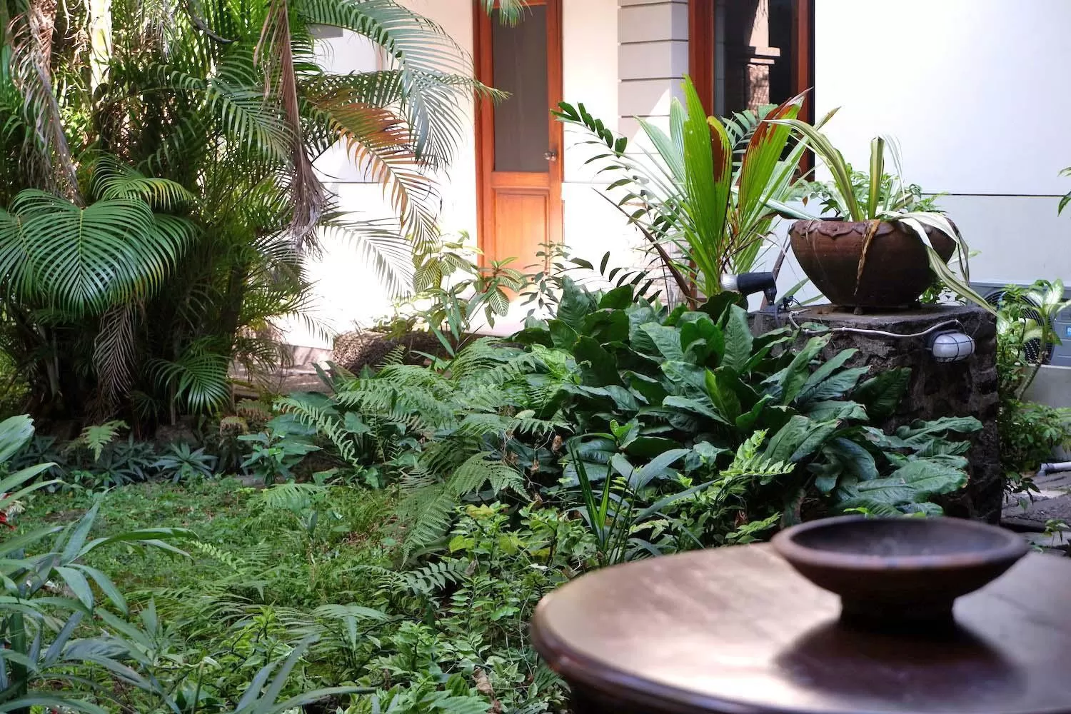 Garden in Hotel Winotosastro Garden