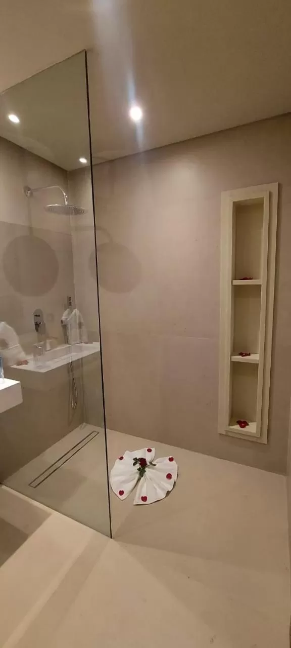 Shower in Hotel Almas