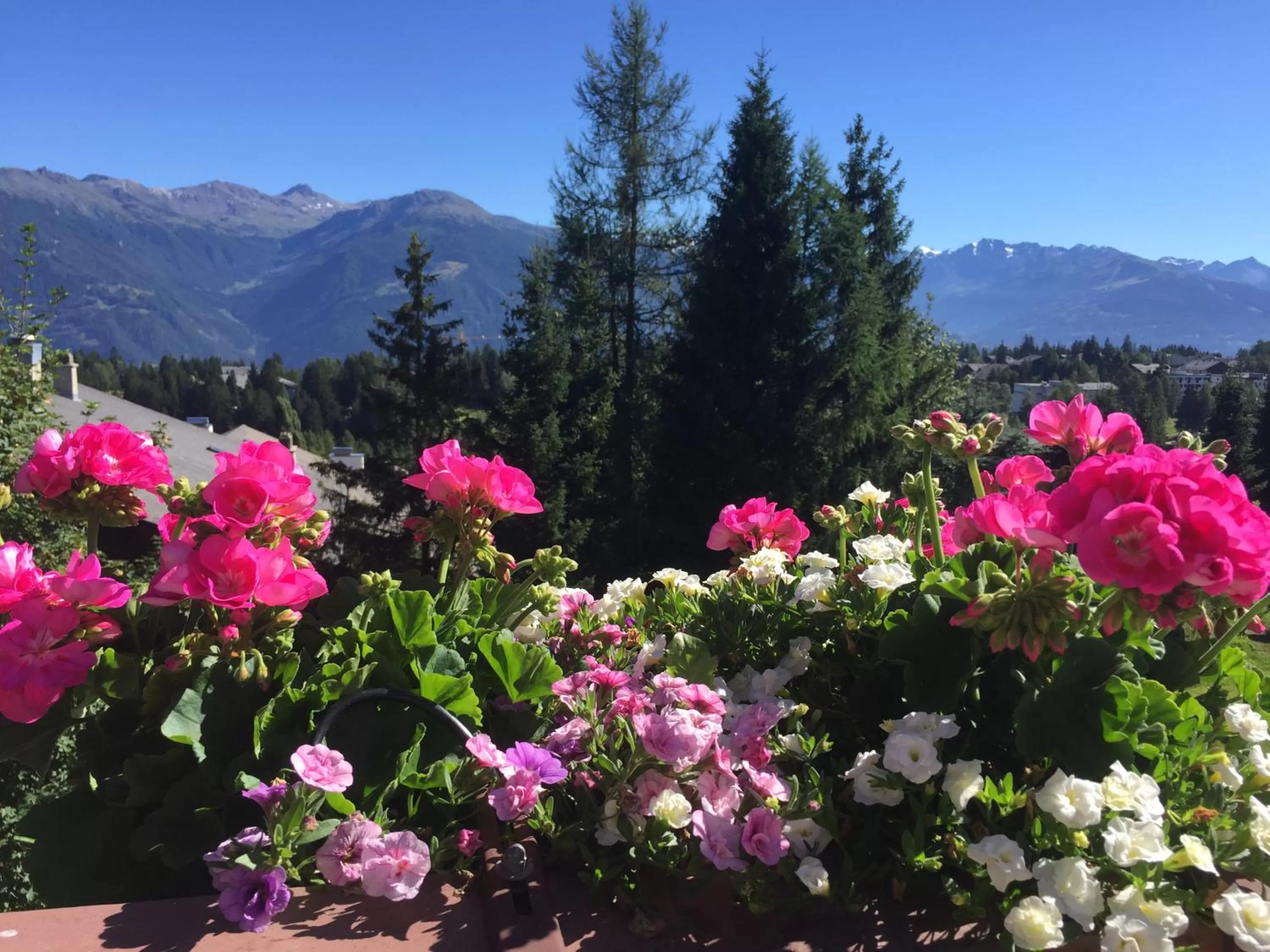 Day in Hotel Ad'Eldorado