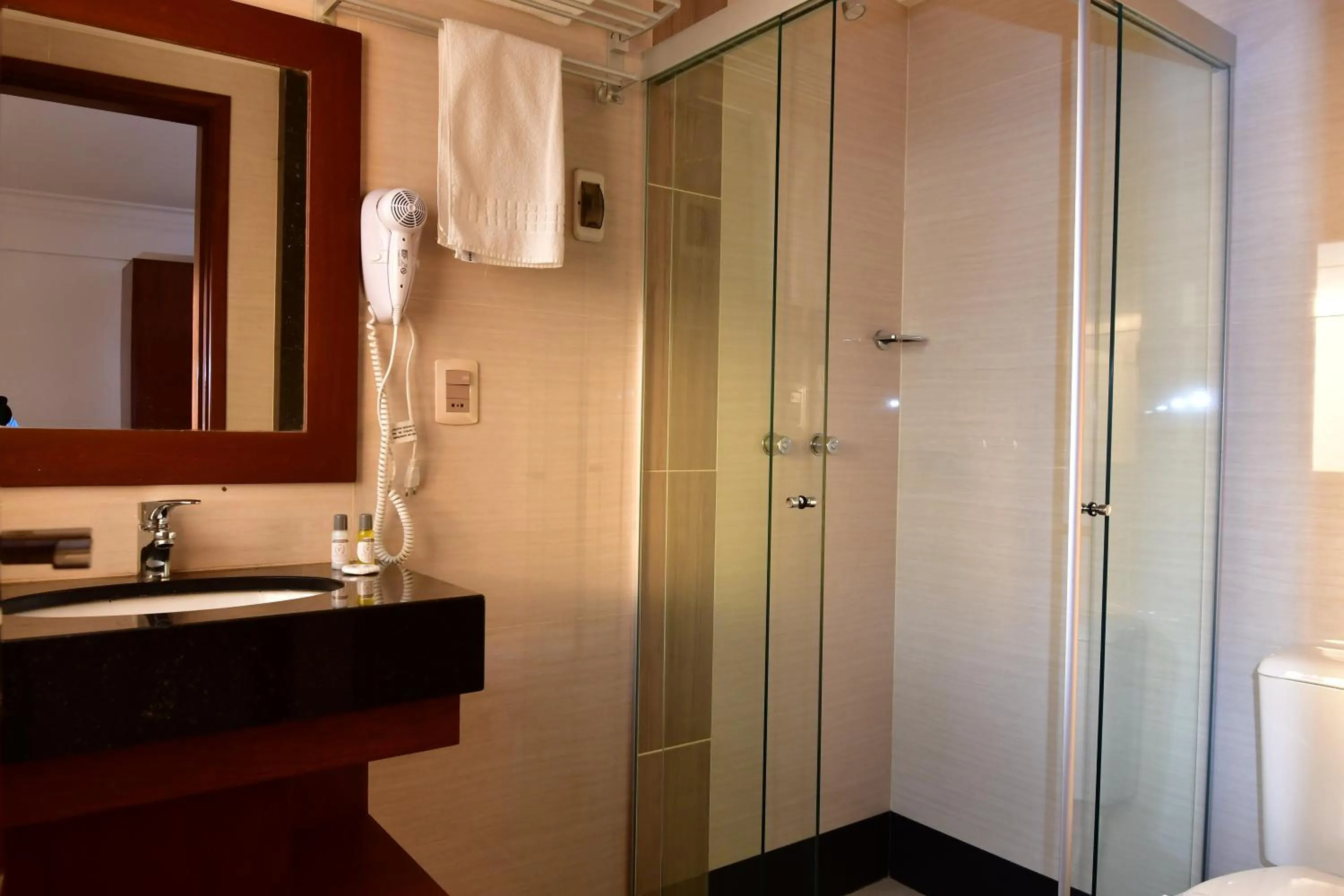 Shower in Prince Hotel