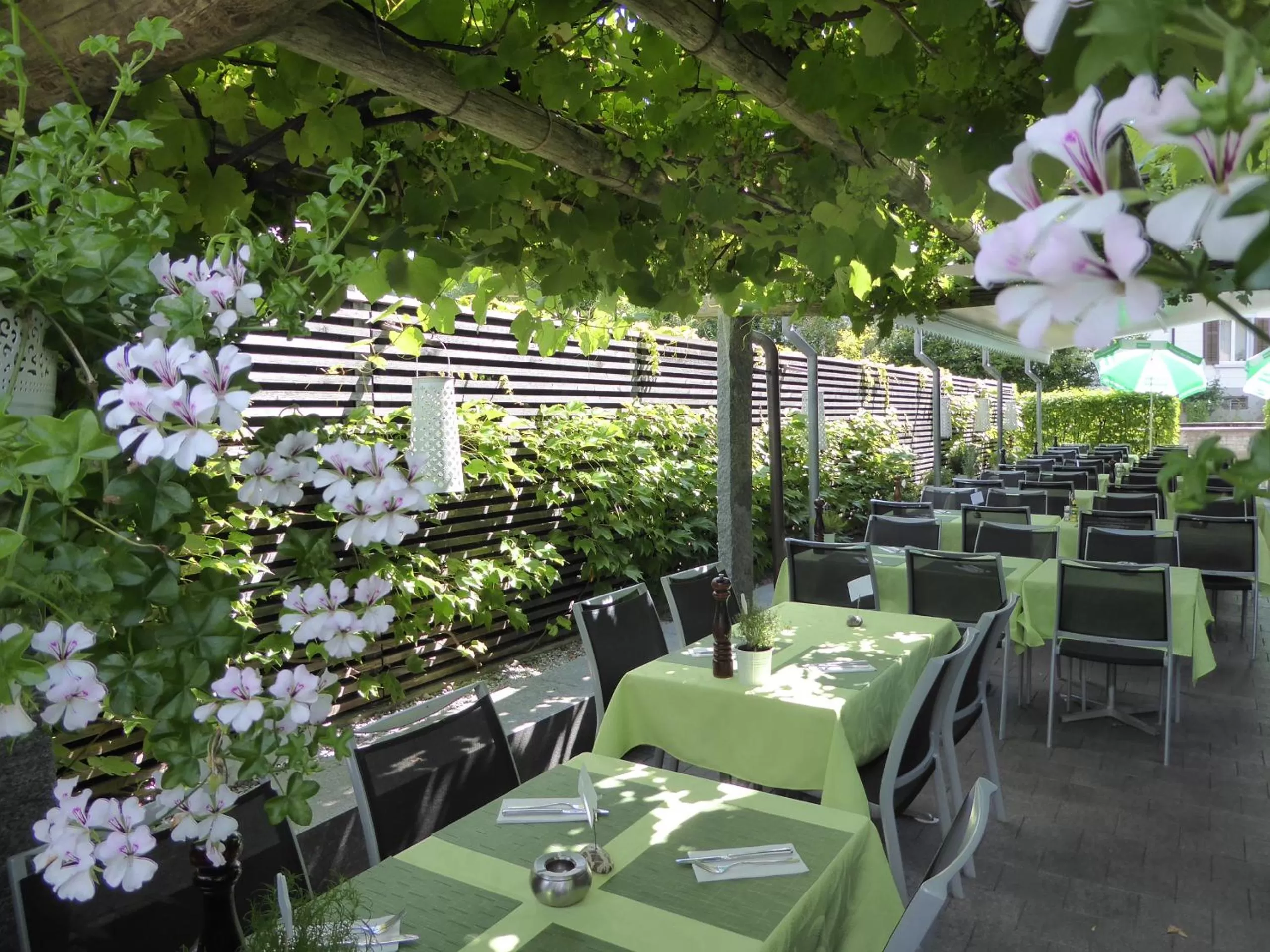 Restaurant/Places to Eat in Gasthof Pizzeria Weingarten