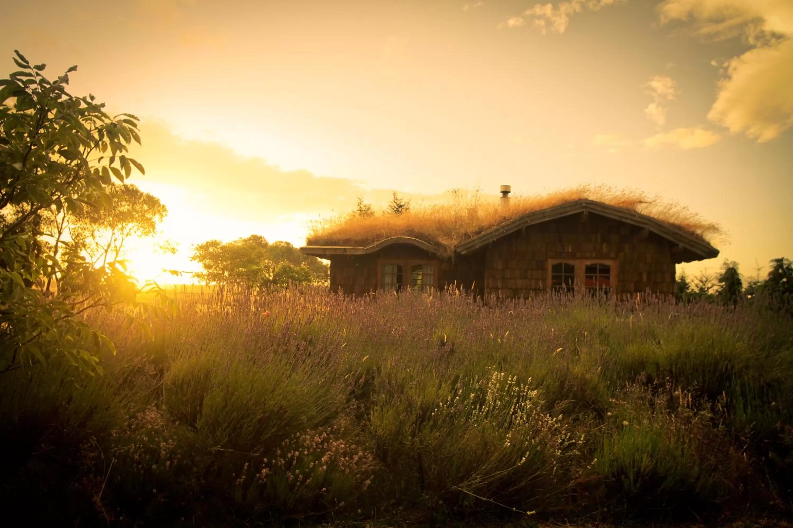 Facade/entrance, Property Building in Hostal Zapato Amarillo