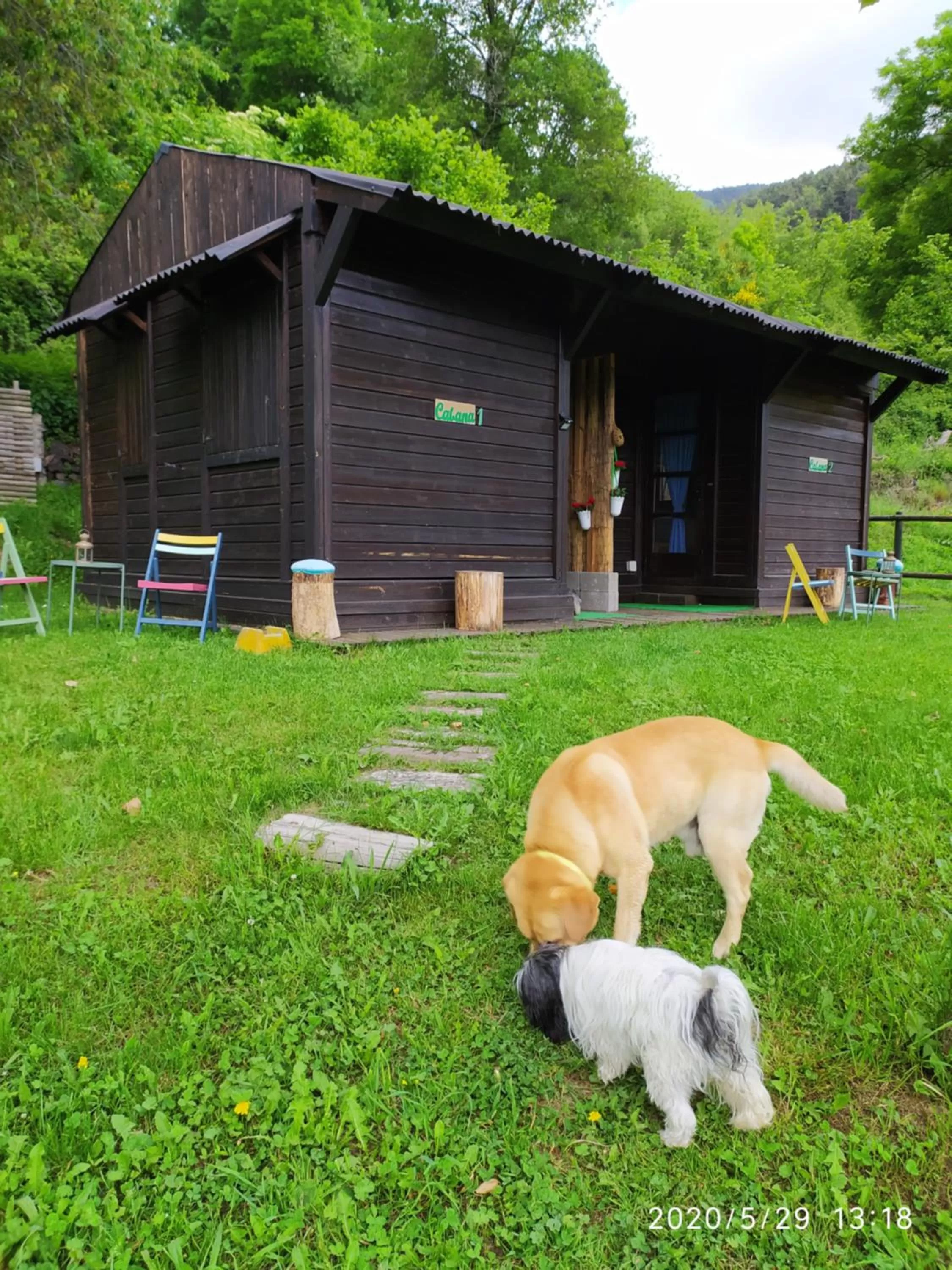 Garden in Hotel Cruells