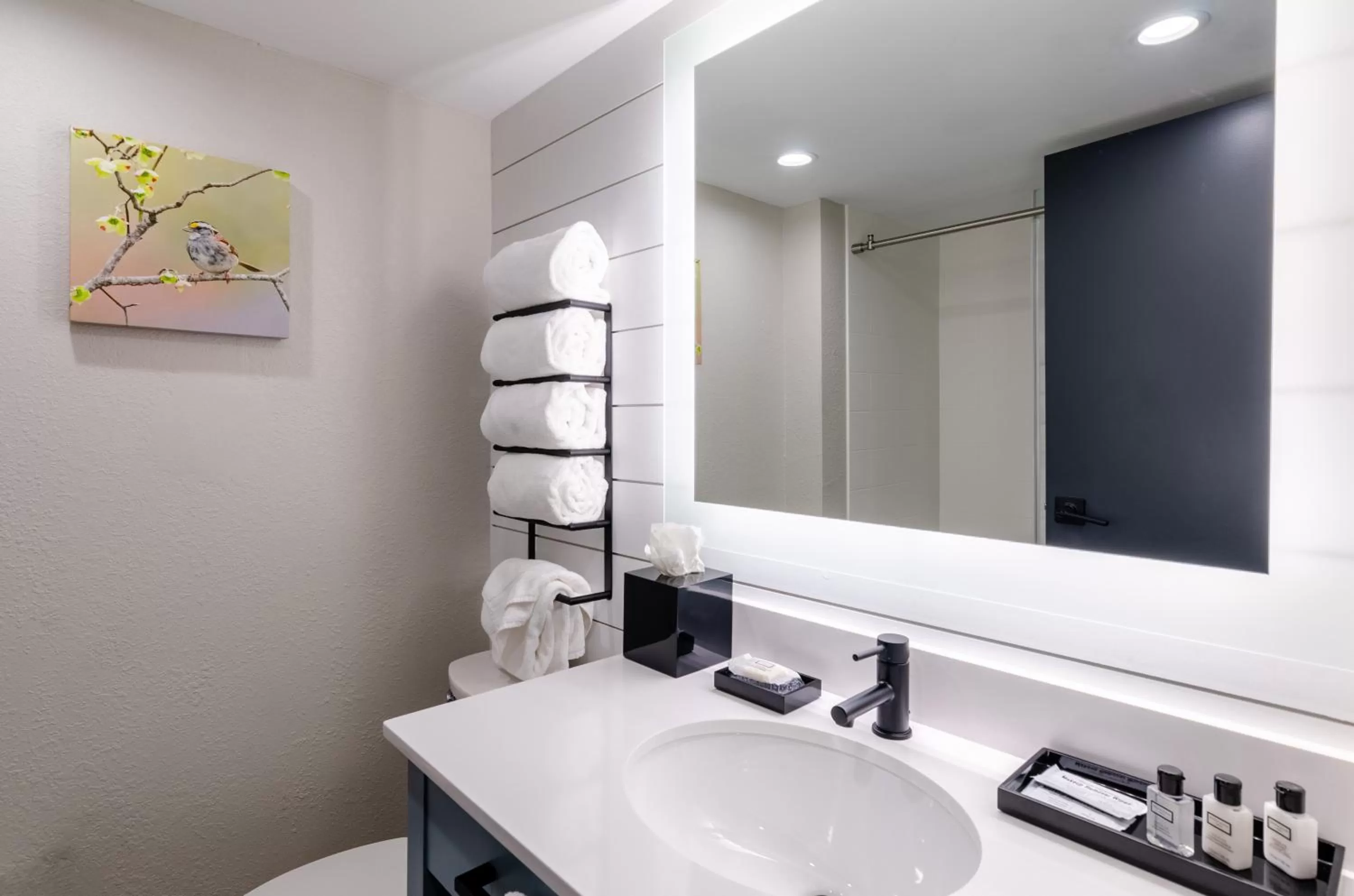 Bathroom in Graystone Lodge, an Ascend Collection Hotel