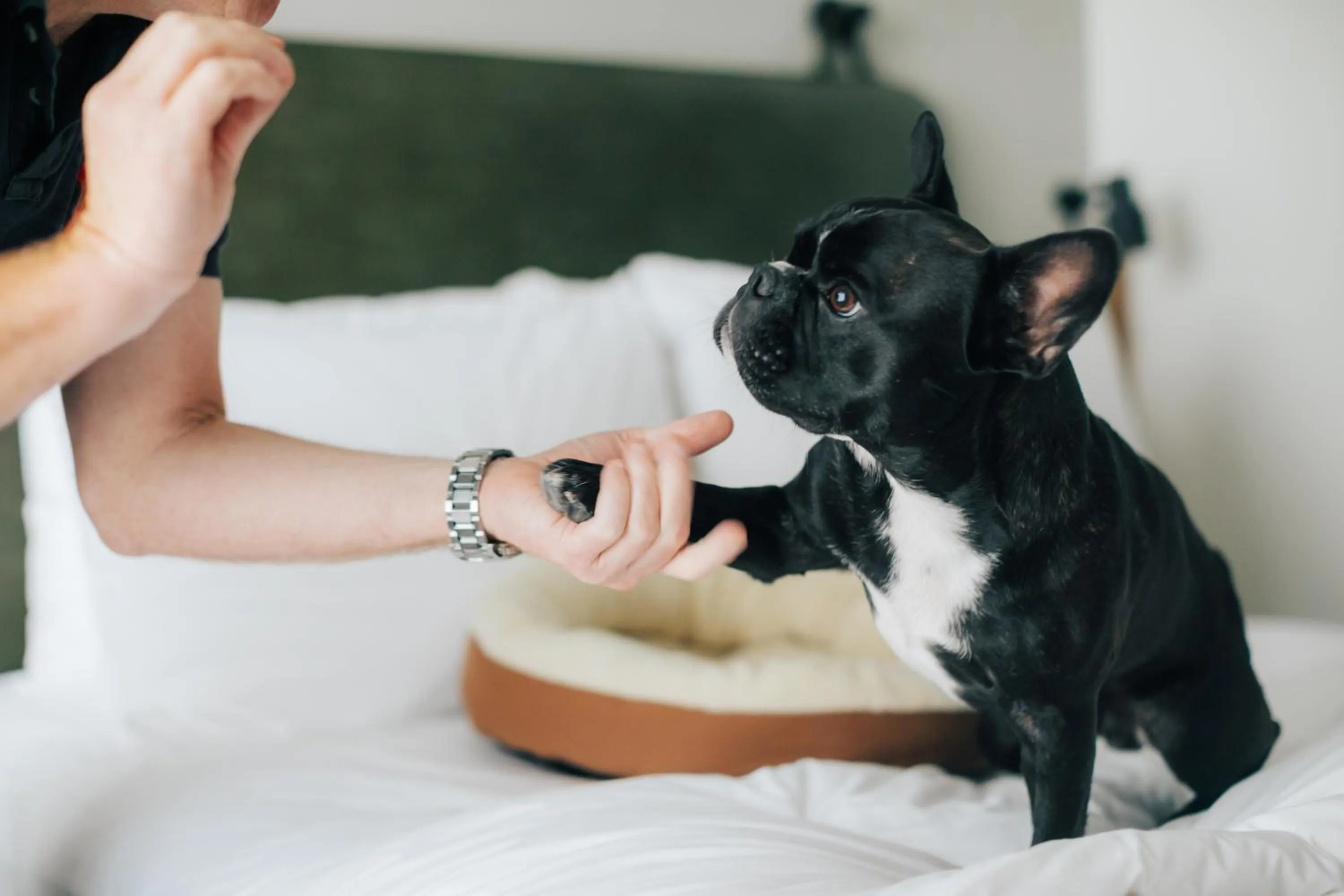 Photo of the whole room in Moxy Osaka Umeda