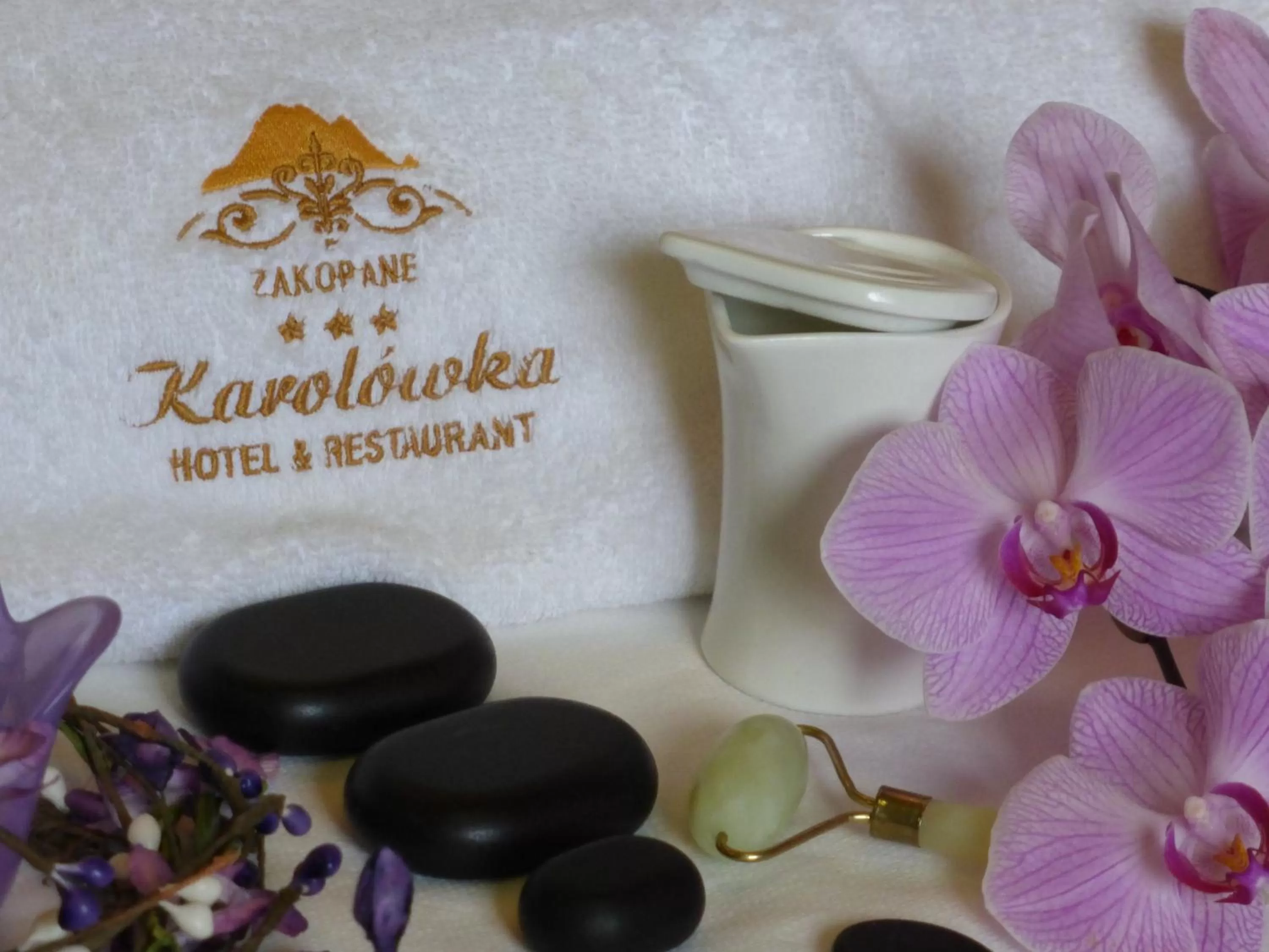 Other in Hotel Dwór Karolówka