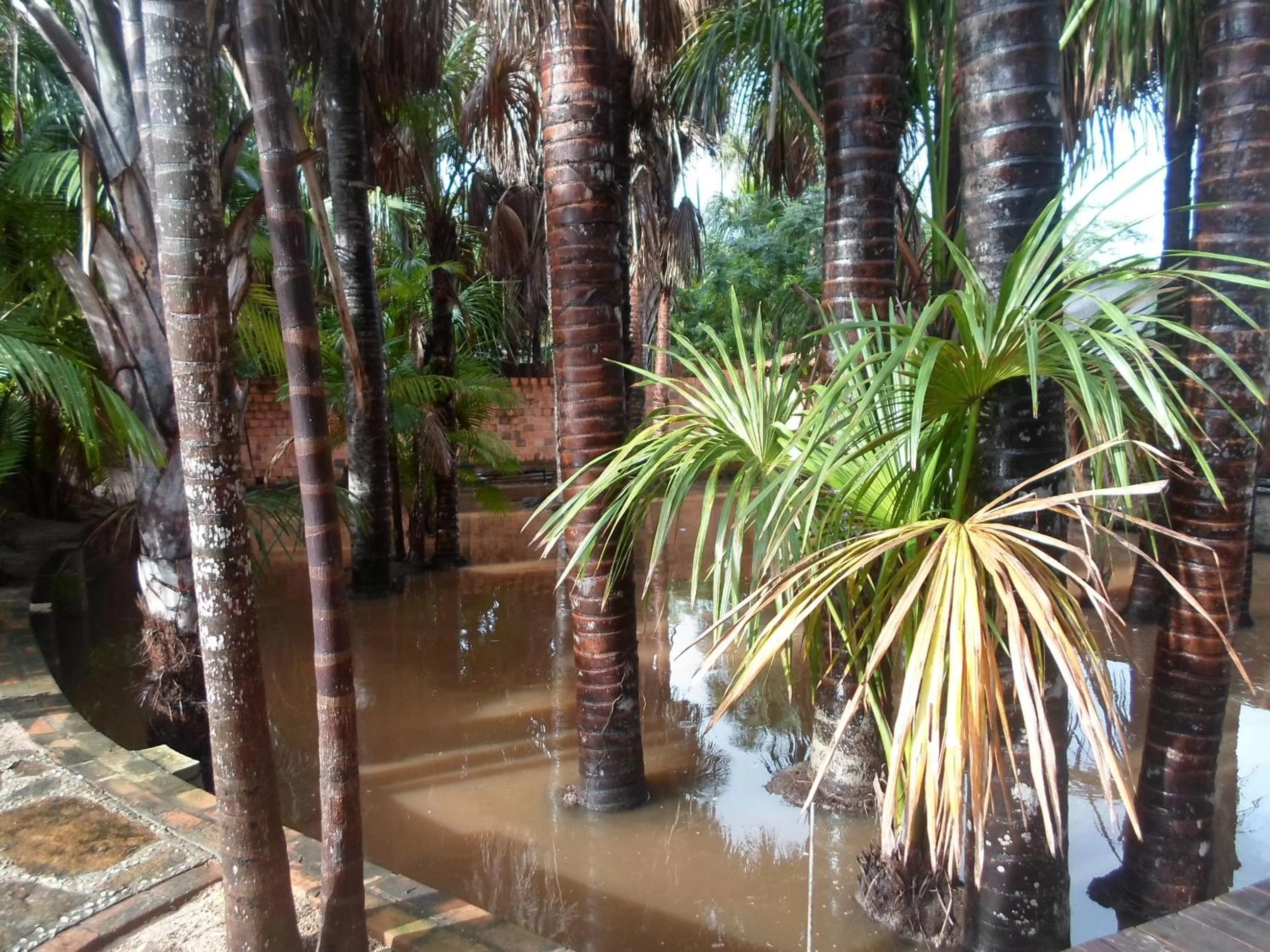 Garden in Pousada do Riacho