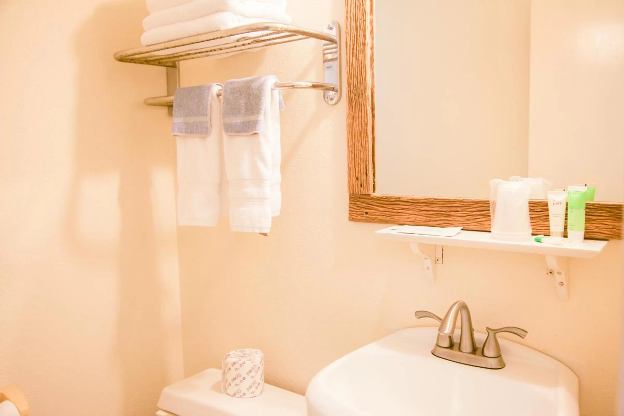 Bathroom in Shiner Country Inn