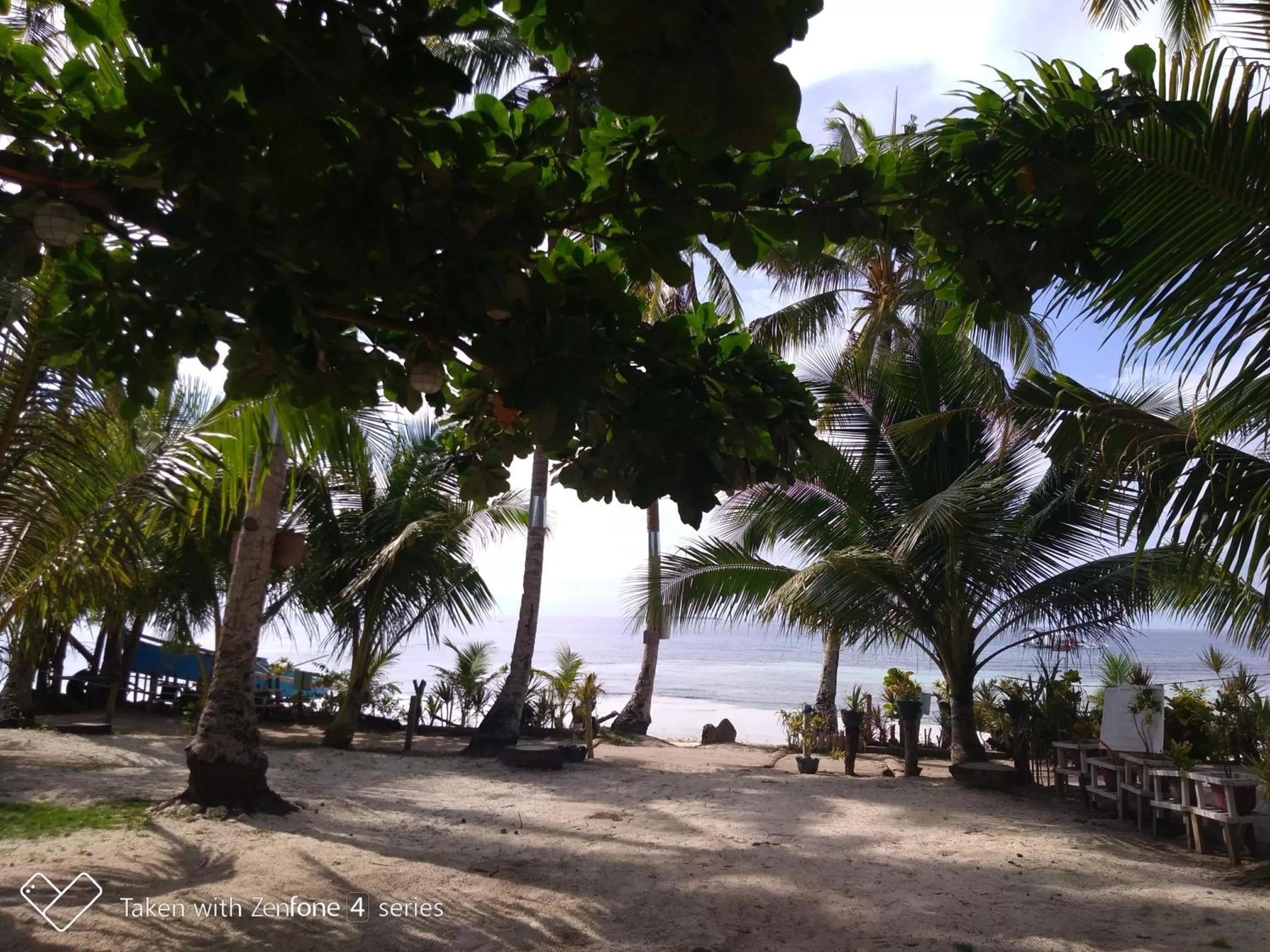 Beach in D & B BLUESTAR BEACH RESORT