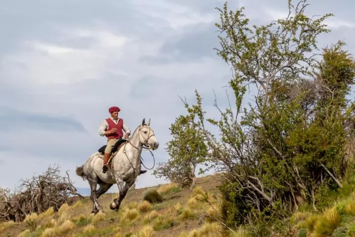 Horseback Riding in Hostería El Galpón Del Glaciar