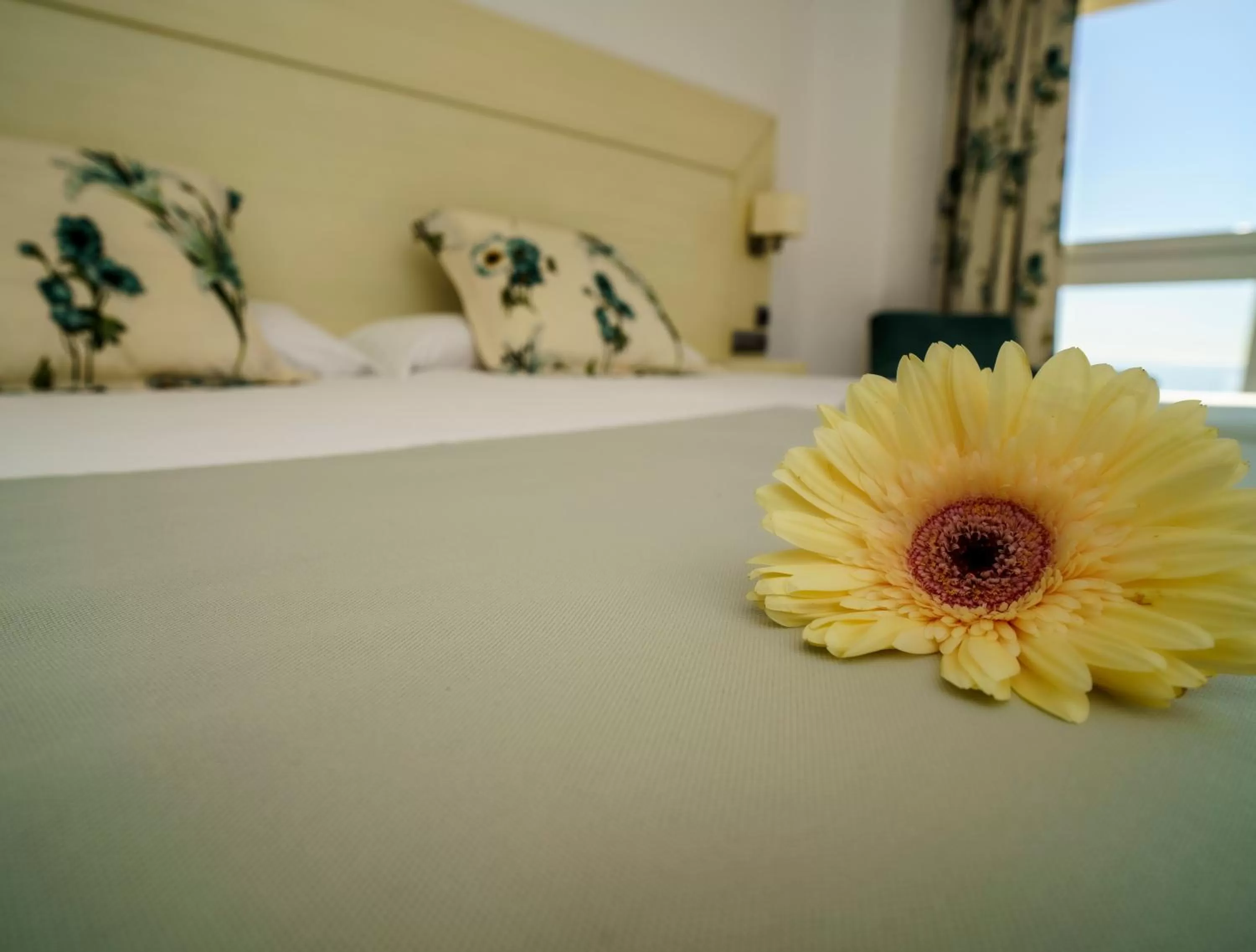 Bed in Senator Águilas