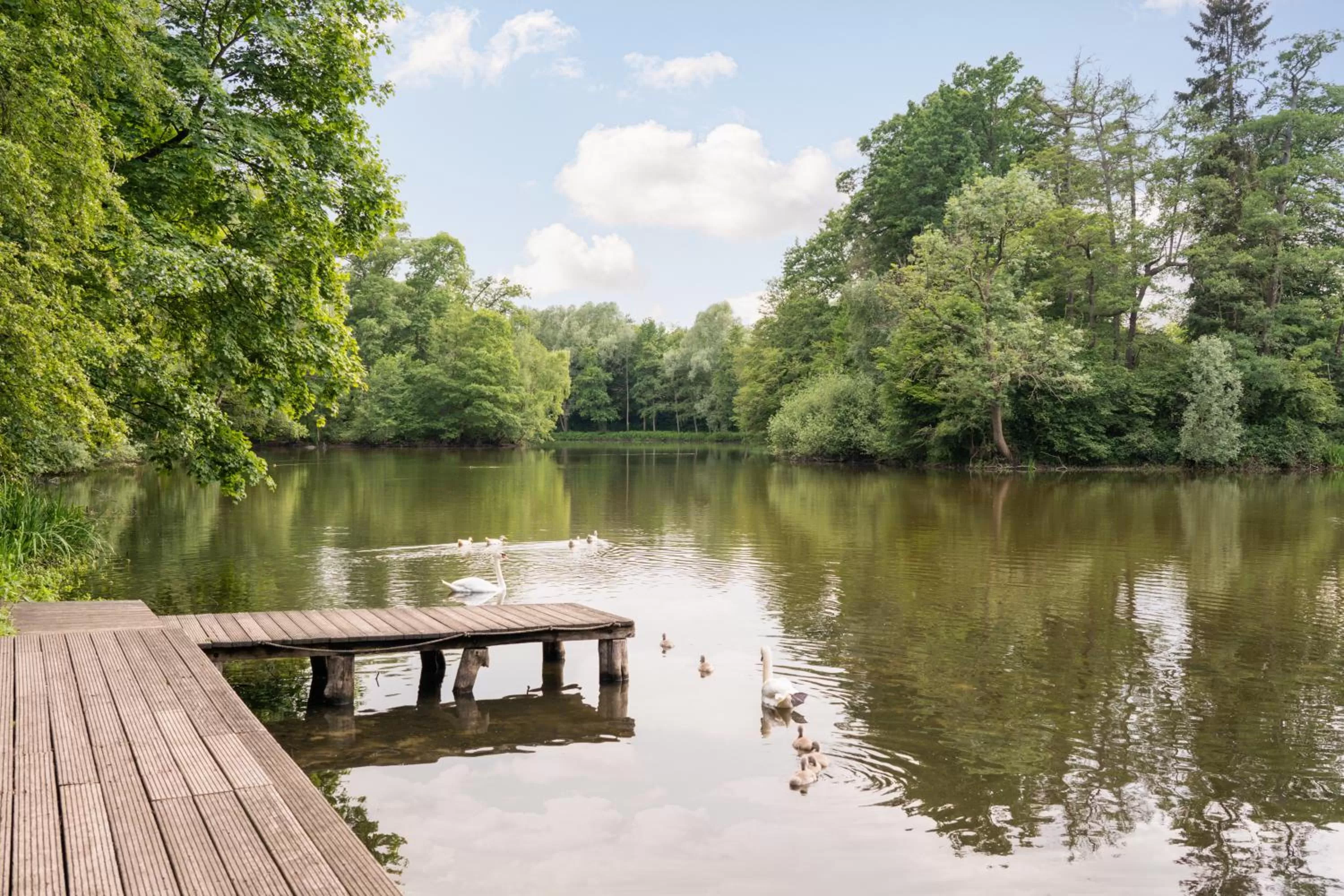 Nearby landmark in Arthotel ANA Fleur