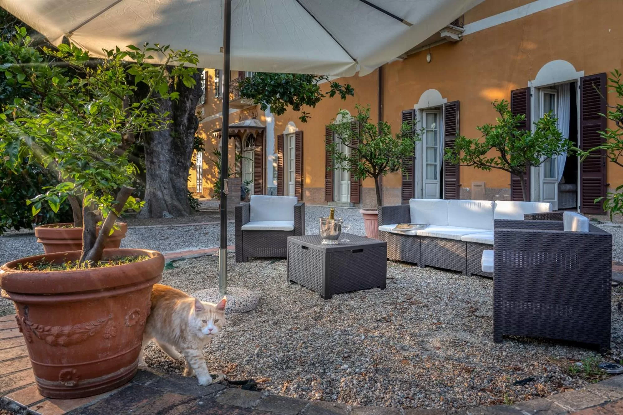 Garden in Palazzo Cavagna Sangiuliani