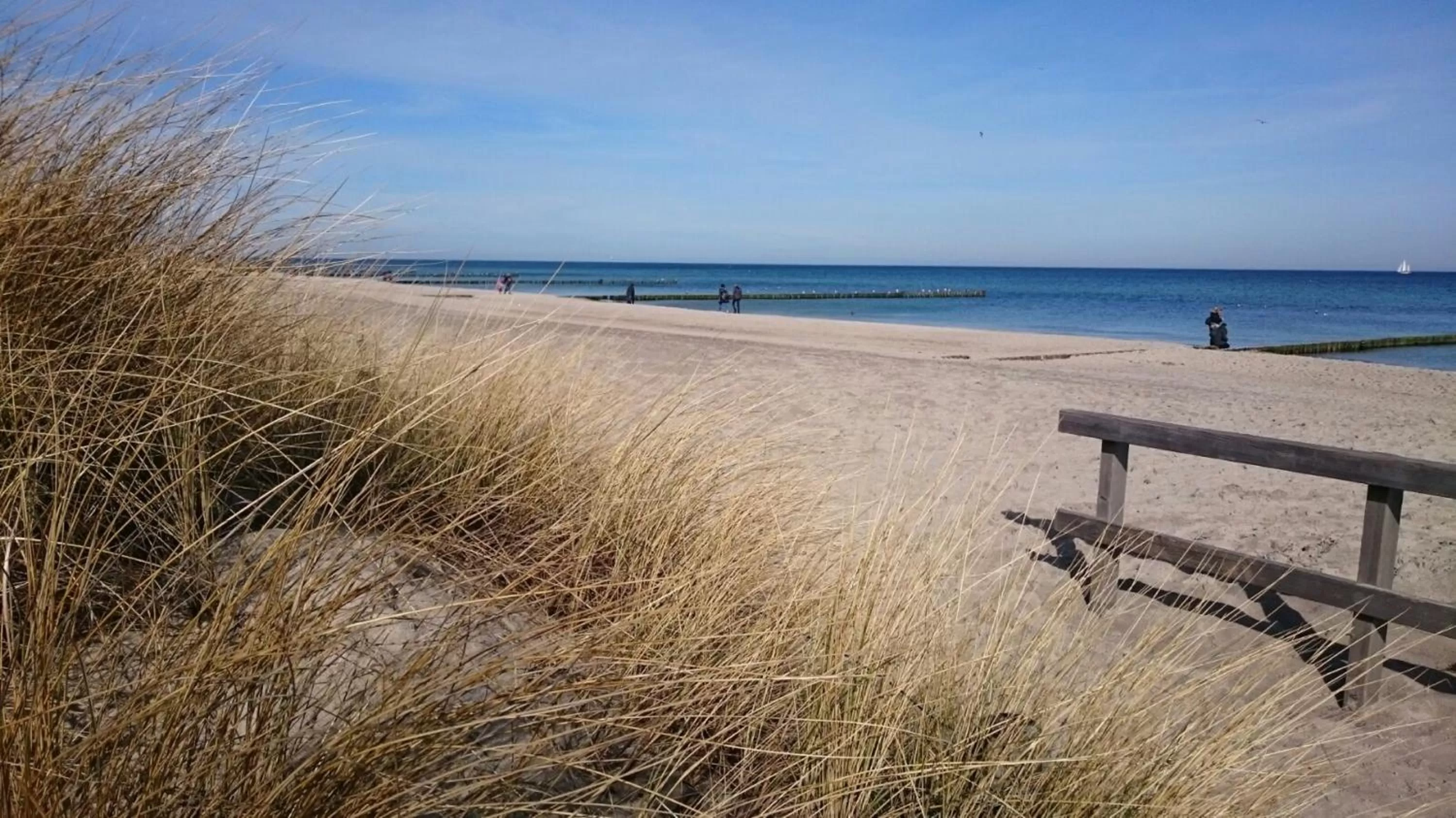 Beach in Hotel Poseidon