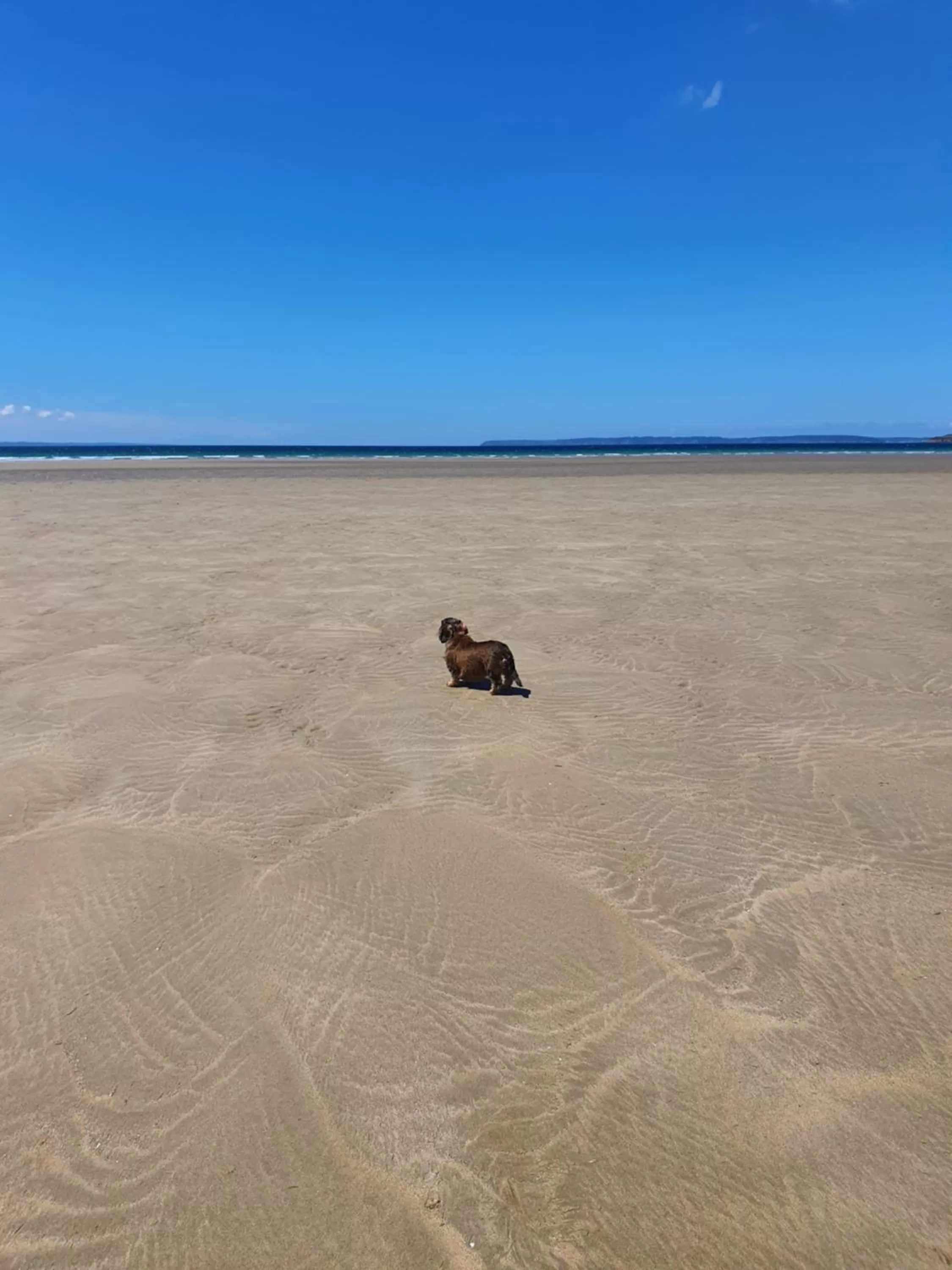 Beach in Chambres Dhôtes Numéro 1