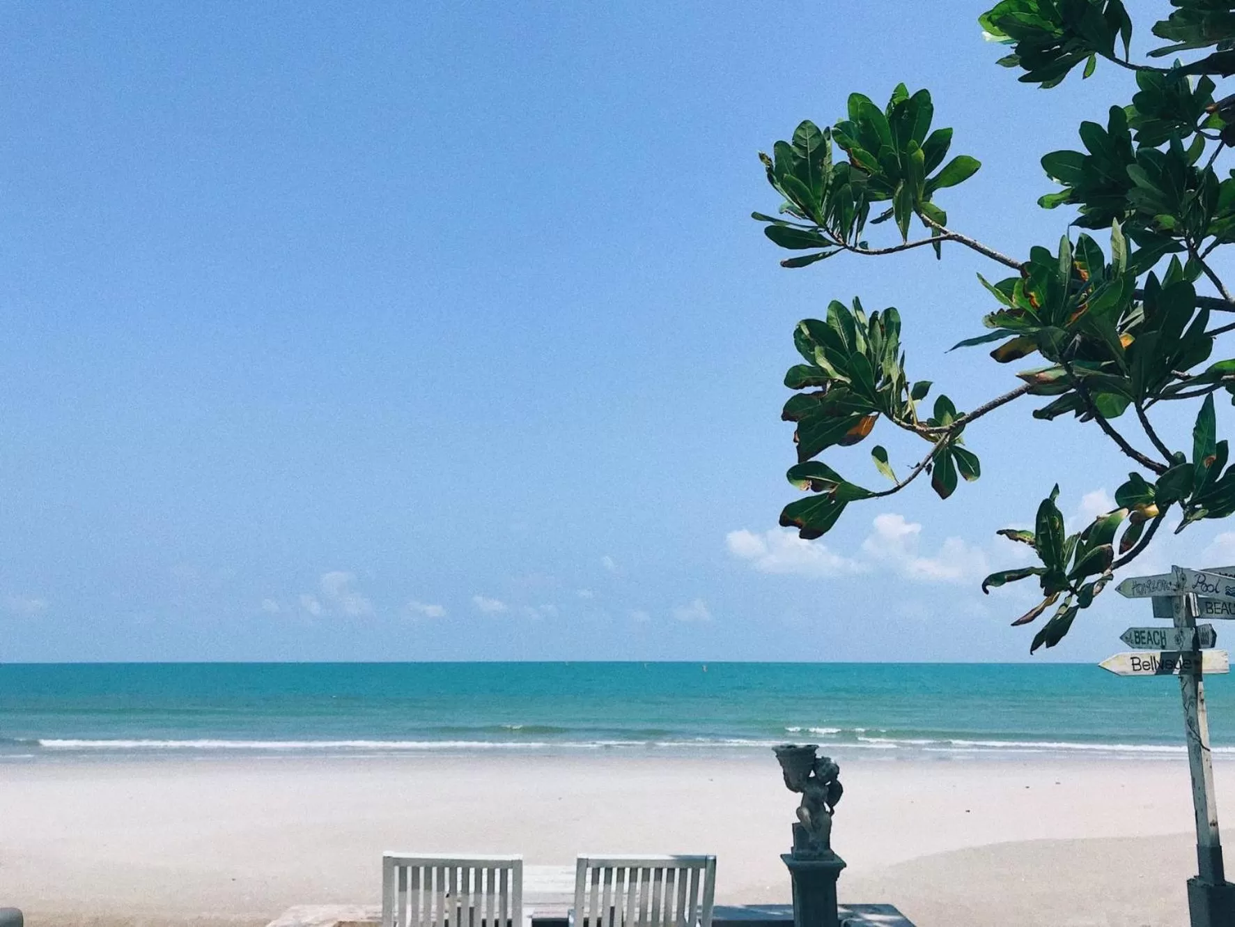 Natural landscape in Green Gallery Beach Boutique Hotel