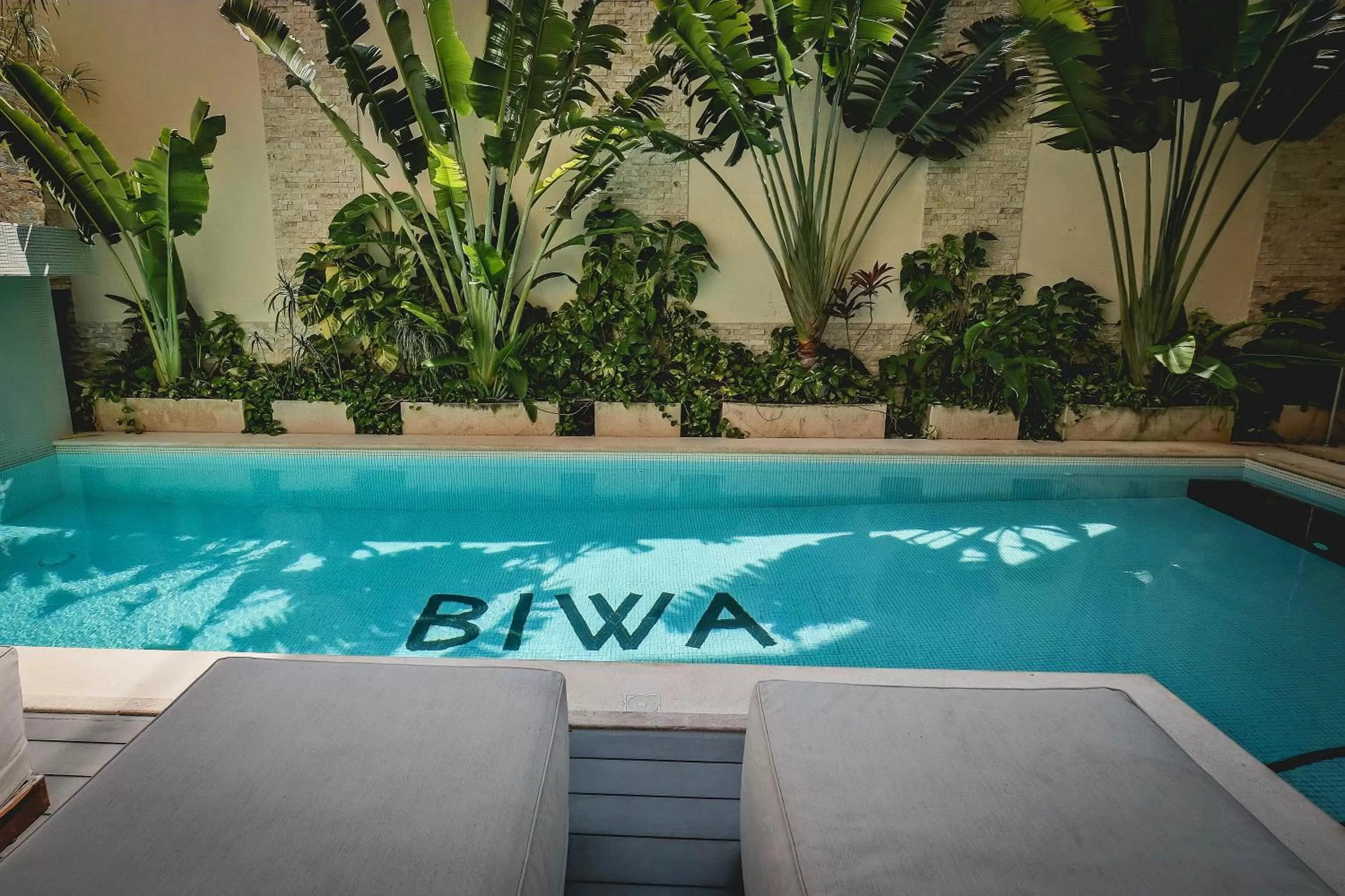 Swimming pool in Biwa Tulum