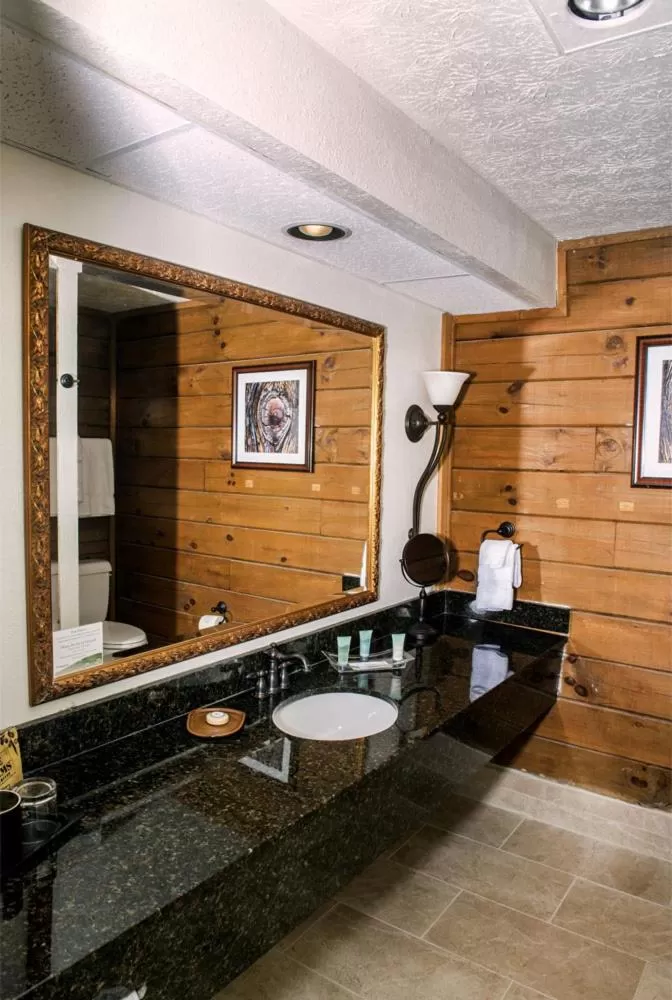 Bathroom in Brasstown Valley Resort & Spa