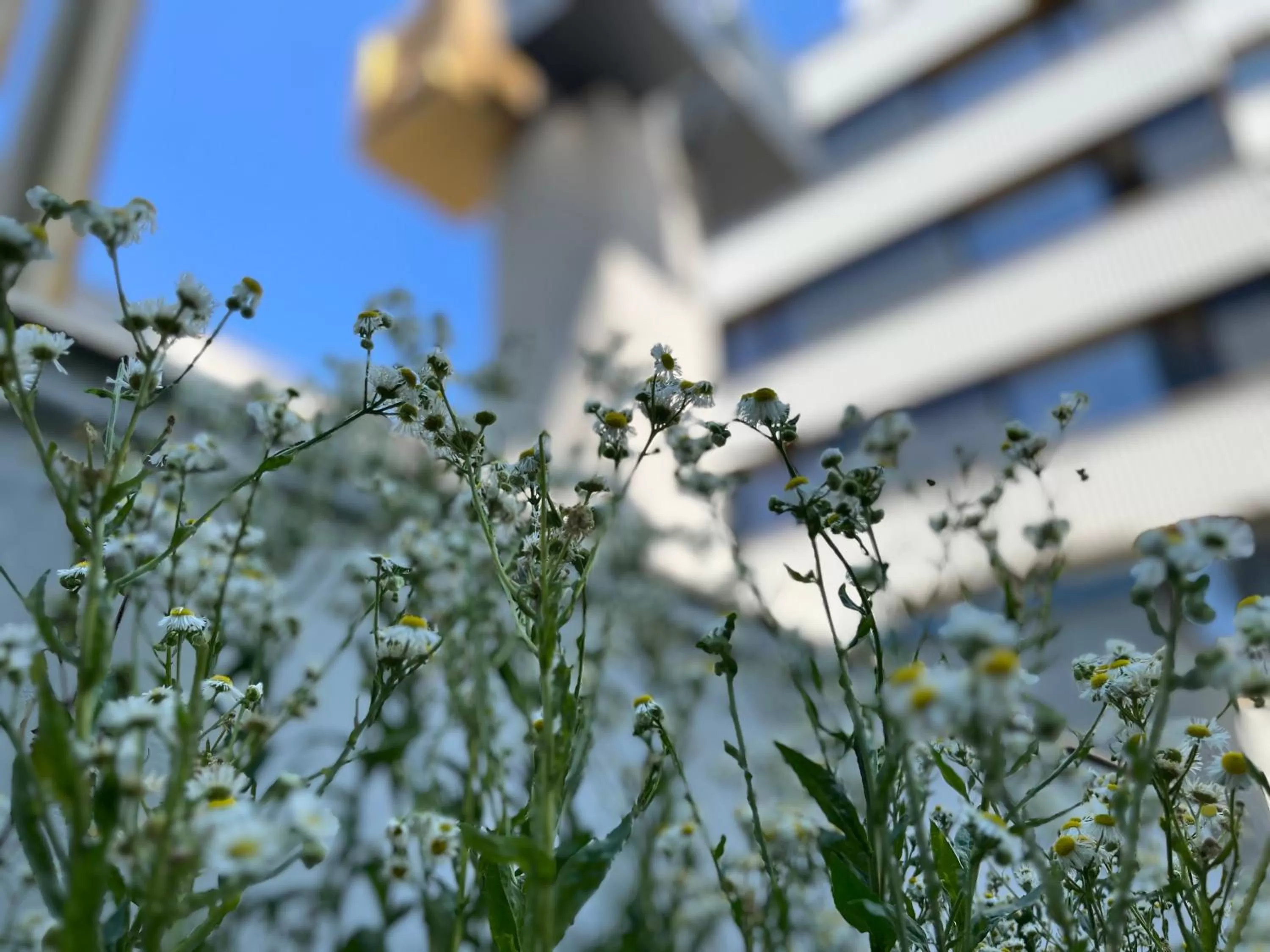 Other in Post 120 Suites