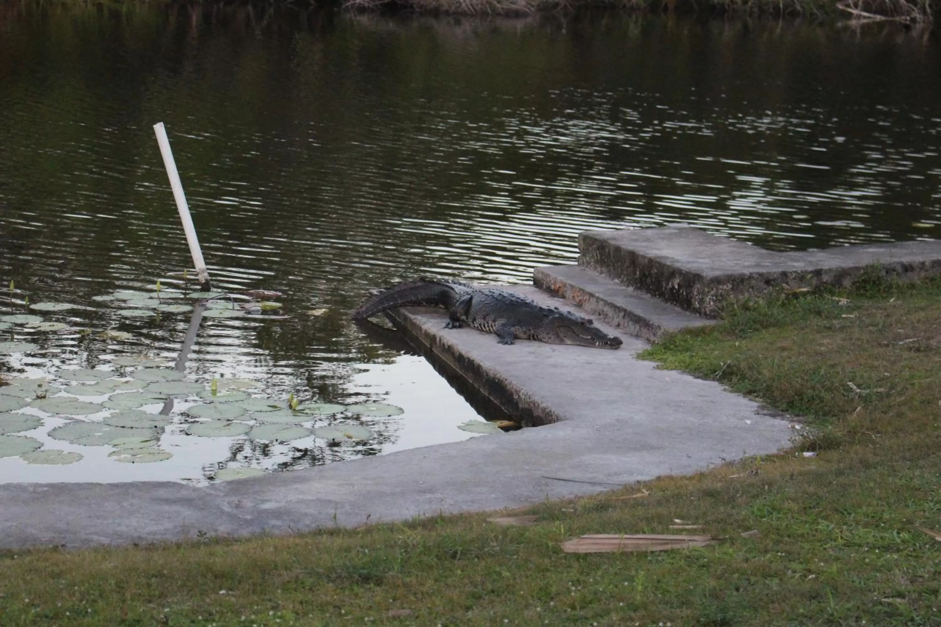 Day in Lamanai Riverside Retreat