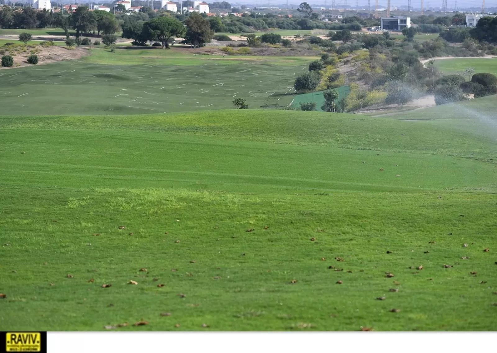 Suite Marina Caesarea