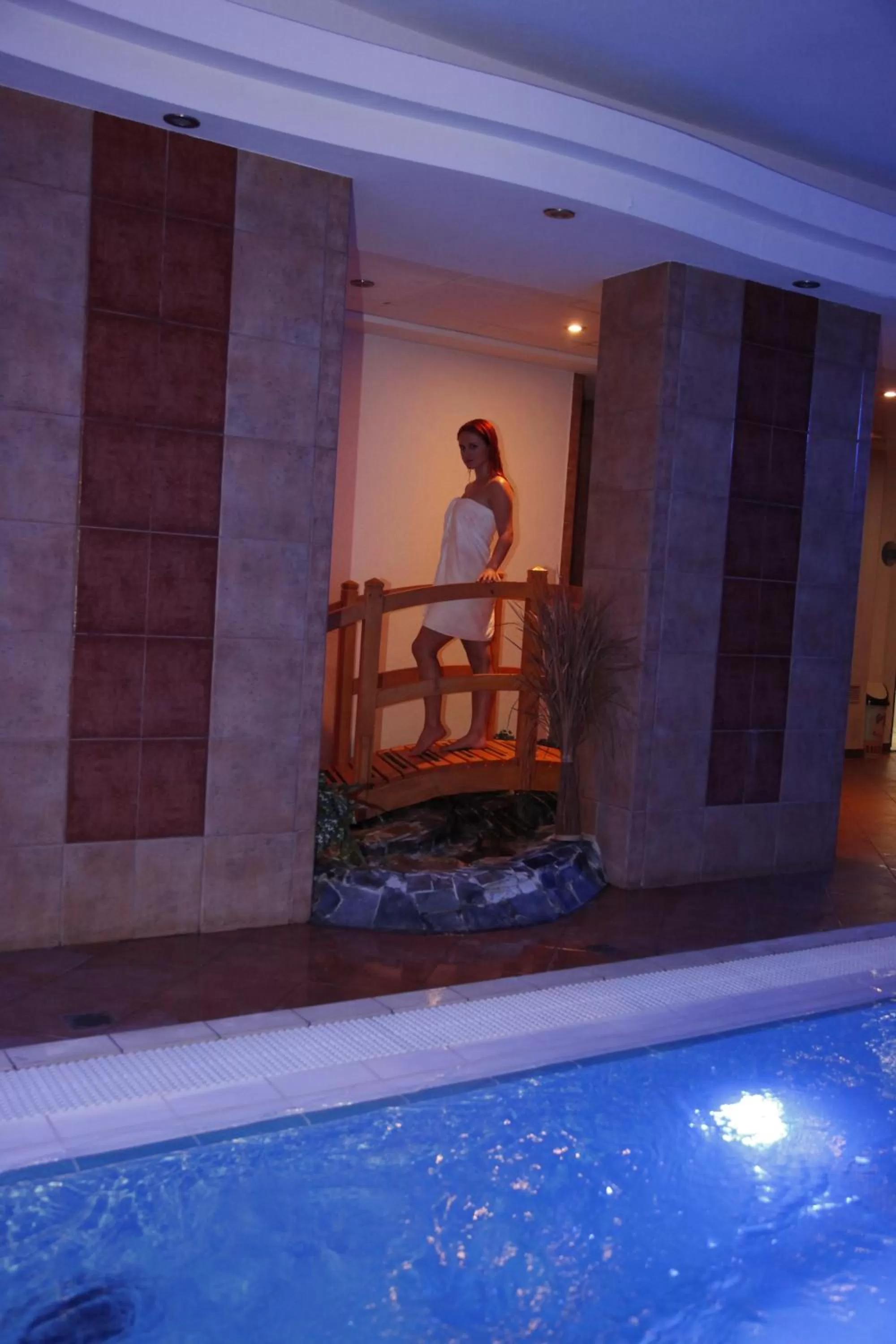 Spa and wellness centre/facilities, Swimming Pool in Wellness Hotel Staré Město