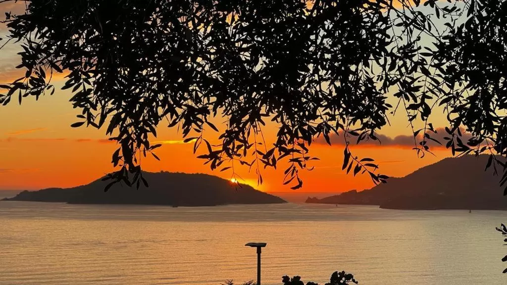 Property building in B&B Camera Bellavista