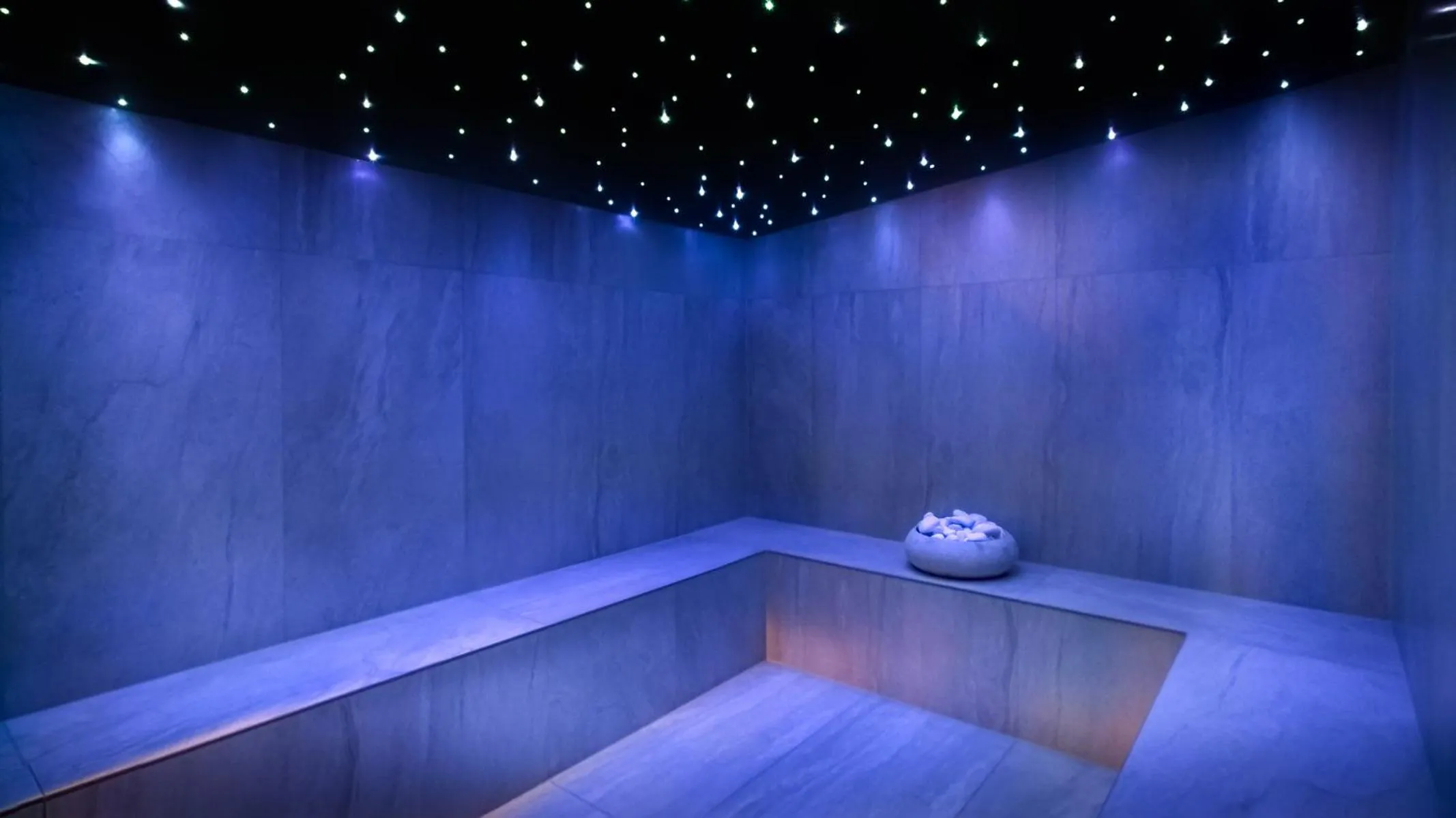 Sauna in The President