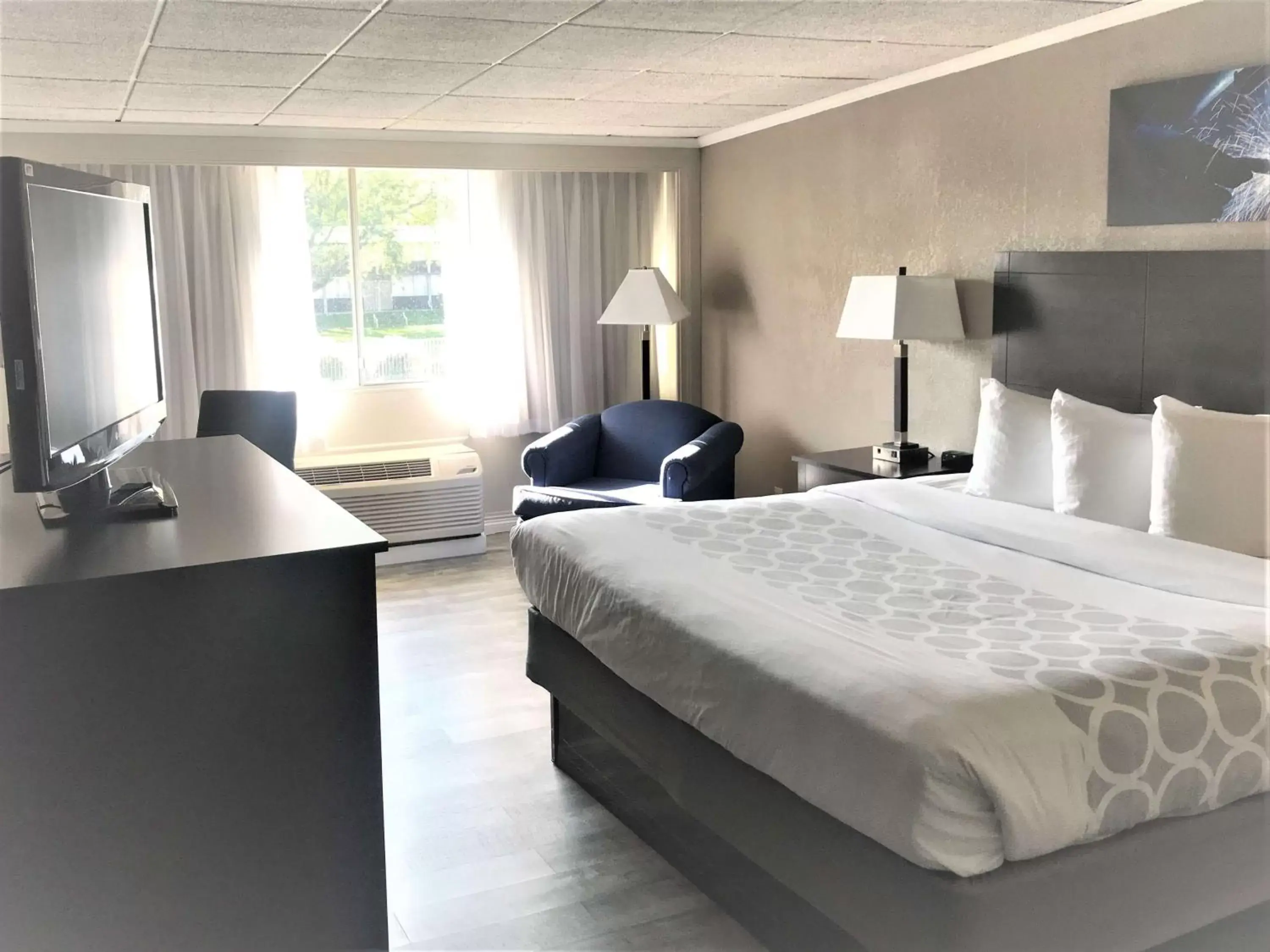 King Room - Non-Smoking/Renovated in SureStay Plus Hotel by Best Western Lehigh Valley King Room - Non-Smoking/Renovated in SureStay Plus Hotel by Best Western Lehigh Valley