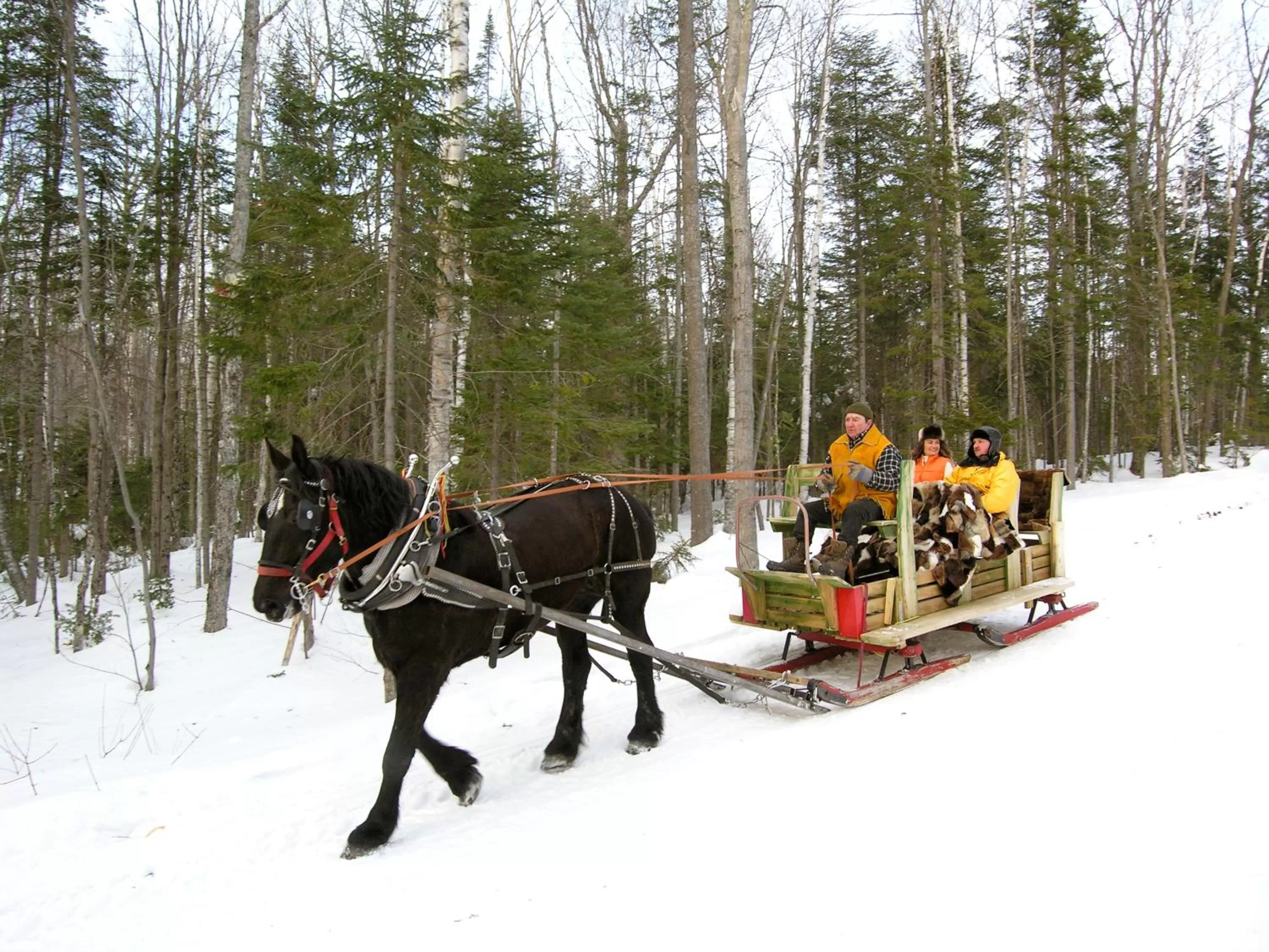 Other in Sacacomie Hôtel et Spa