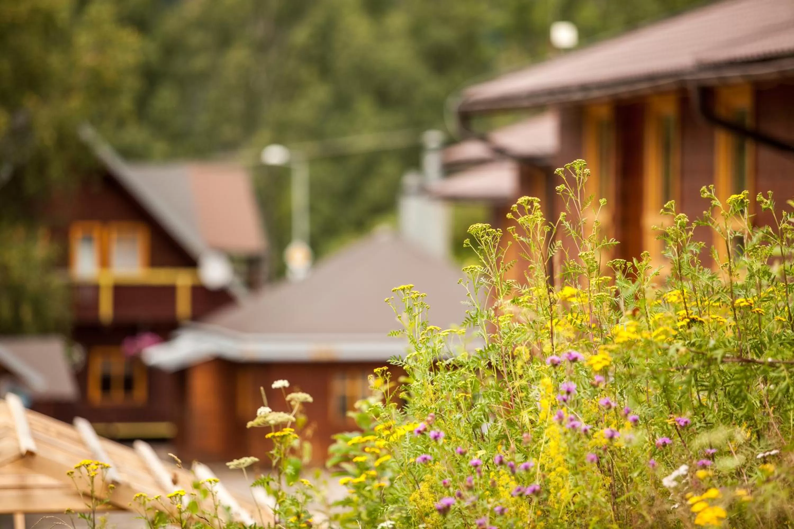 Property building in SKI CIERNY BALOG
