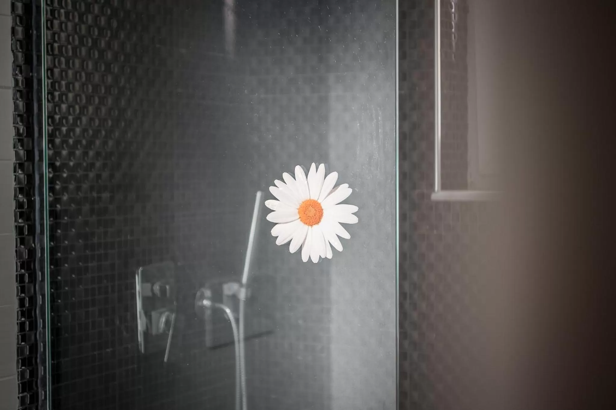 Shopping Area in Hotel Kamomil