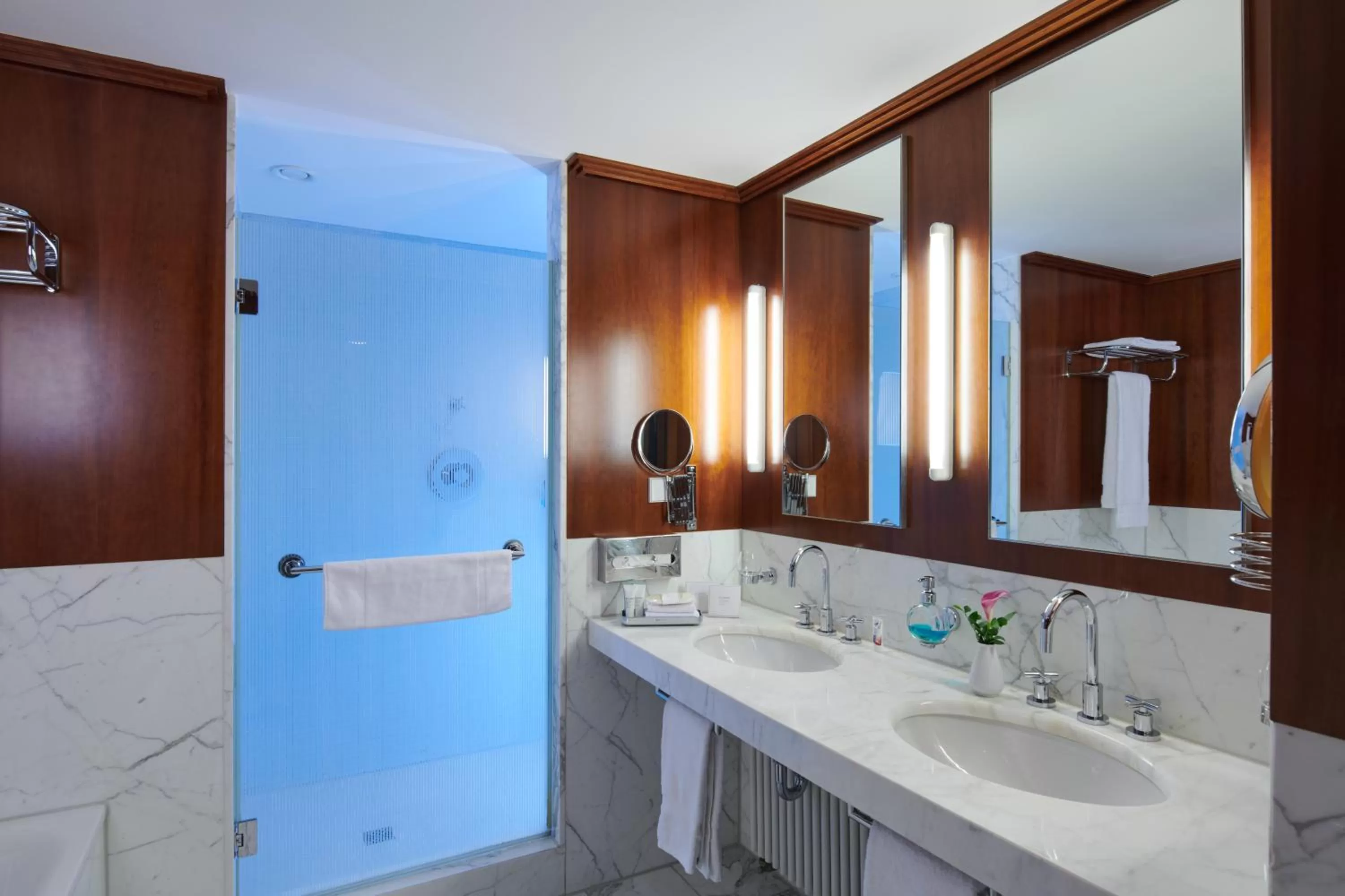 Shower in Hotel Schloss Eckberg