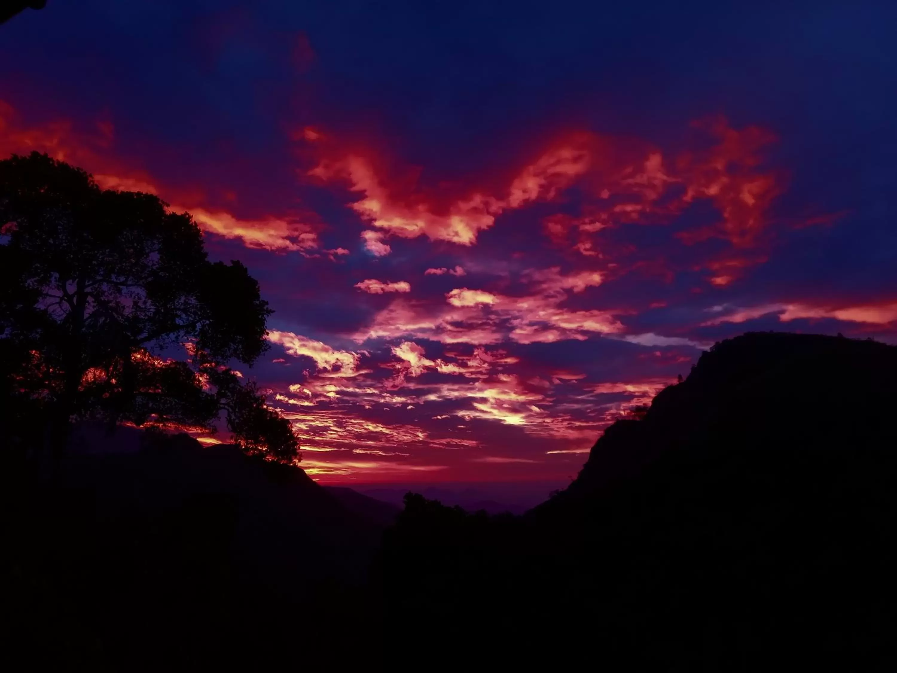 Natural landscape, Sunrise/Sunset in Blue Ribbon Homestay