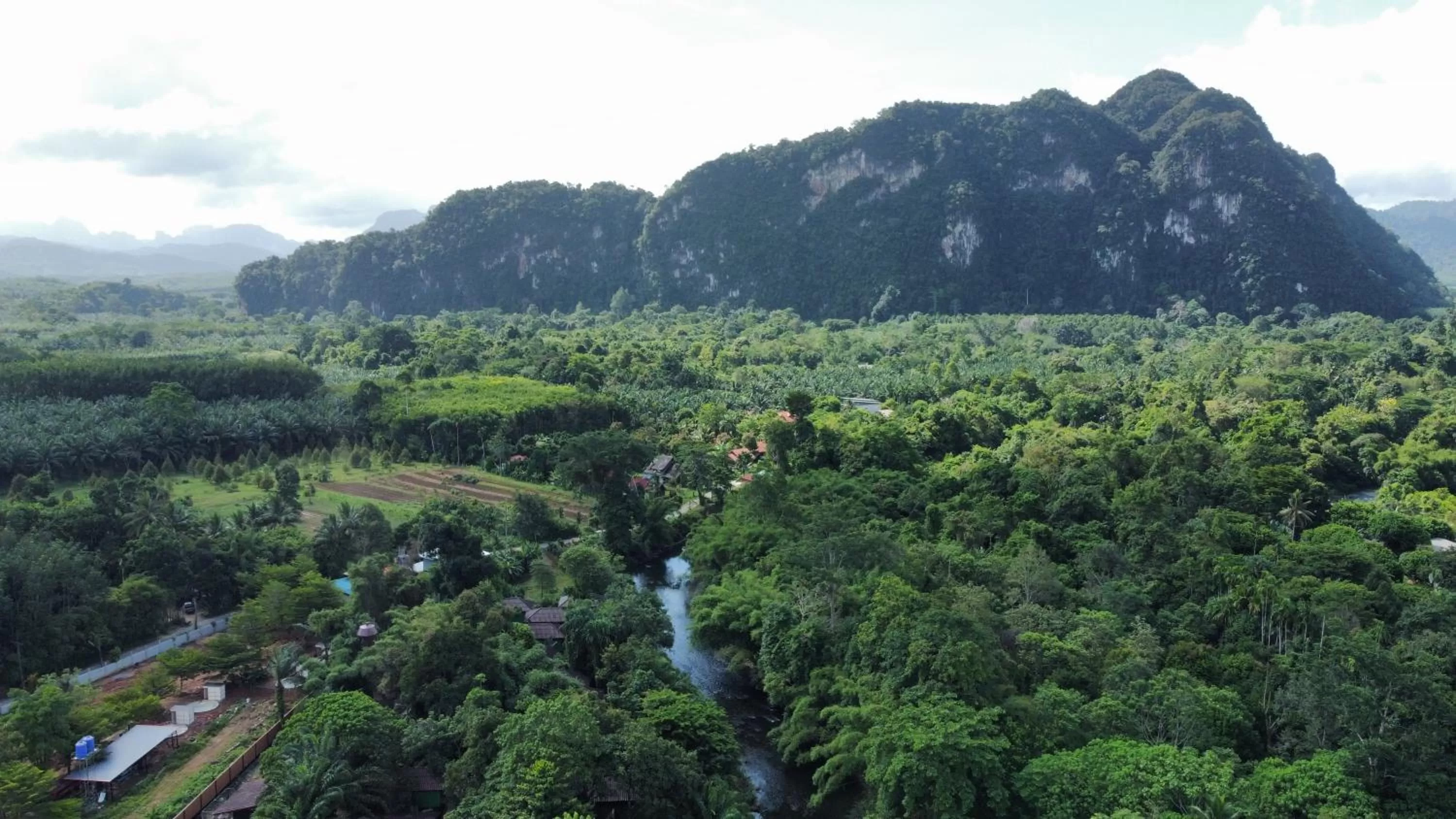 Natural landscape in Khao Sok River & Jungle Resort