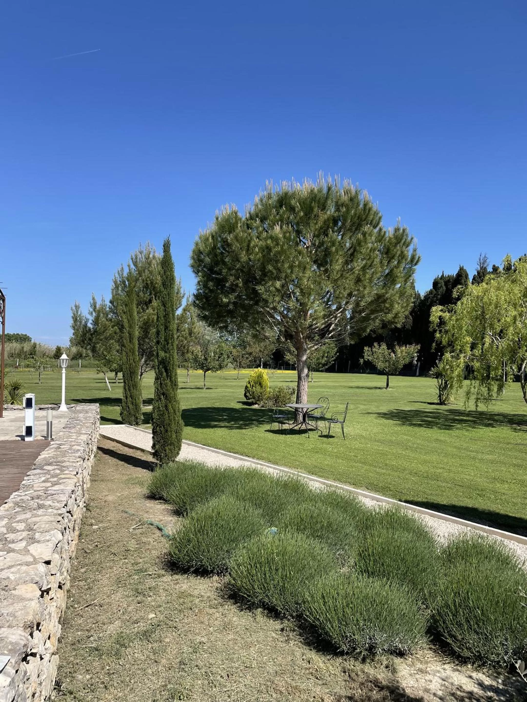 Garden in Le Mas Des Chutes