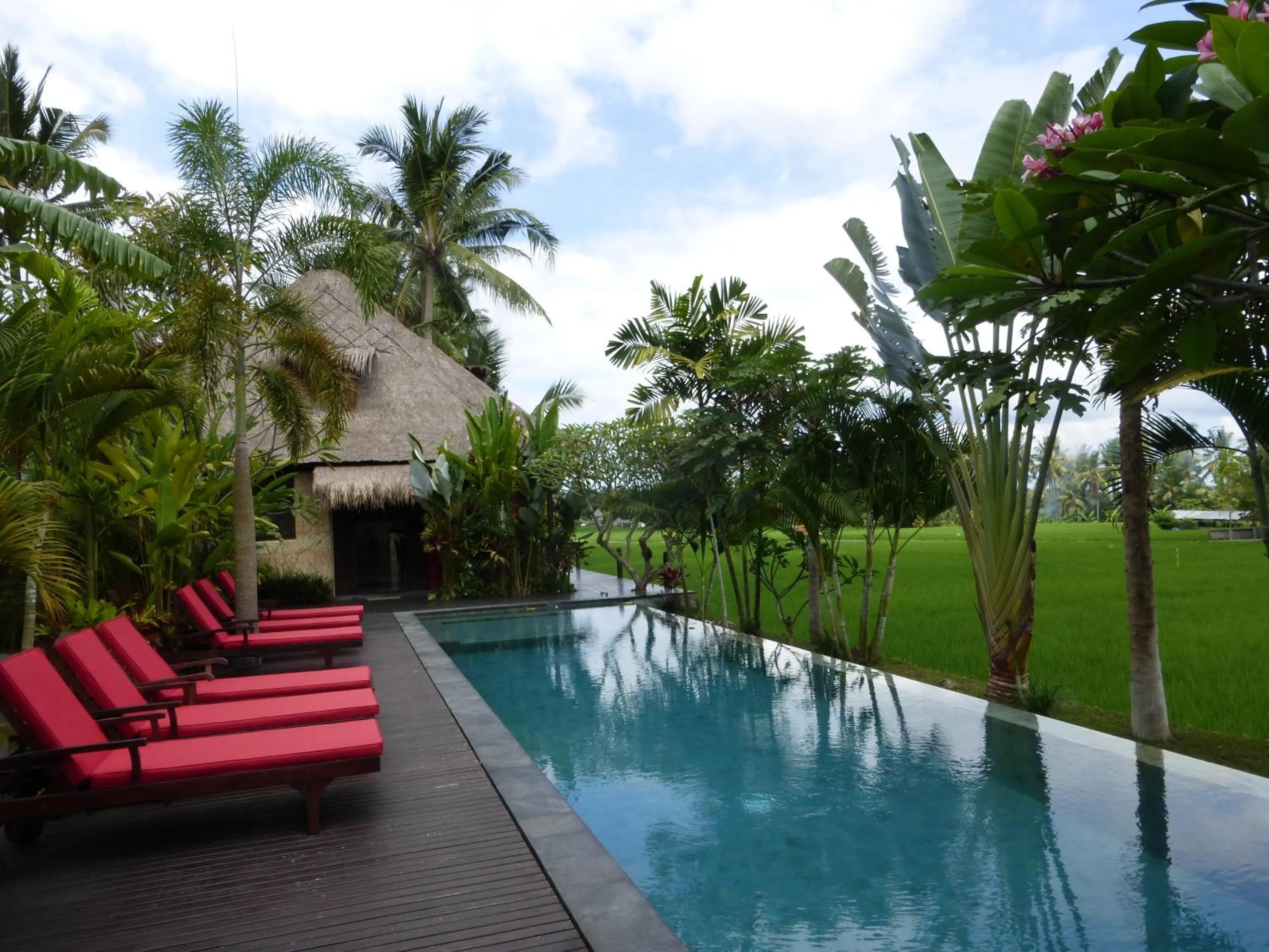 Swimming pool in Bali Harmony Villa