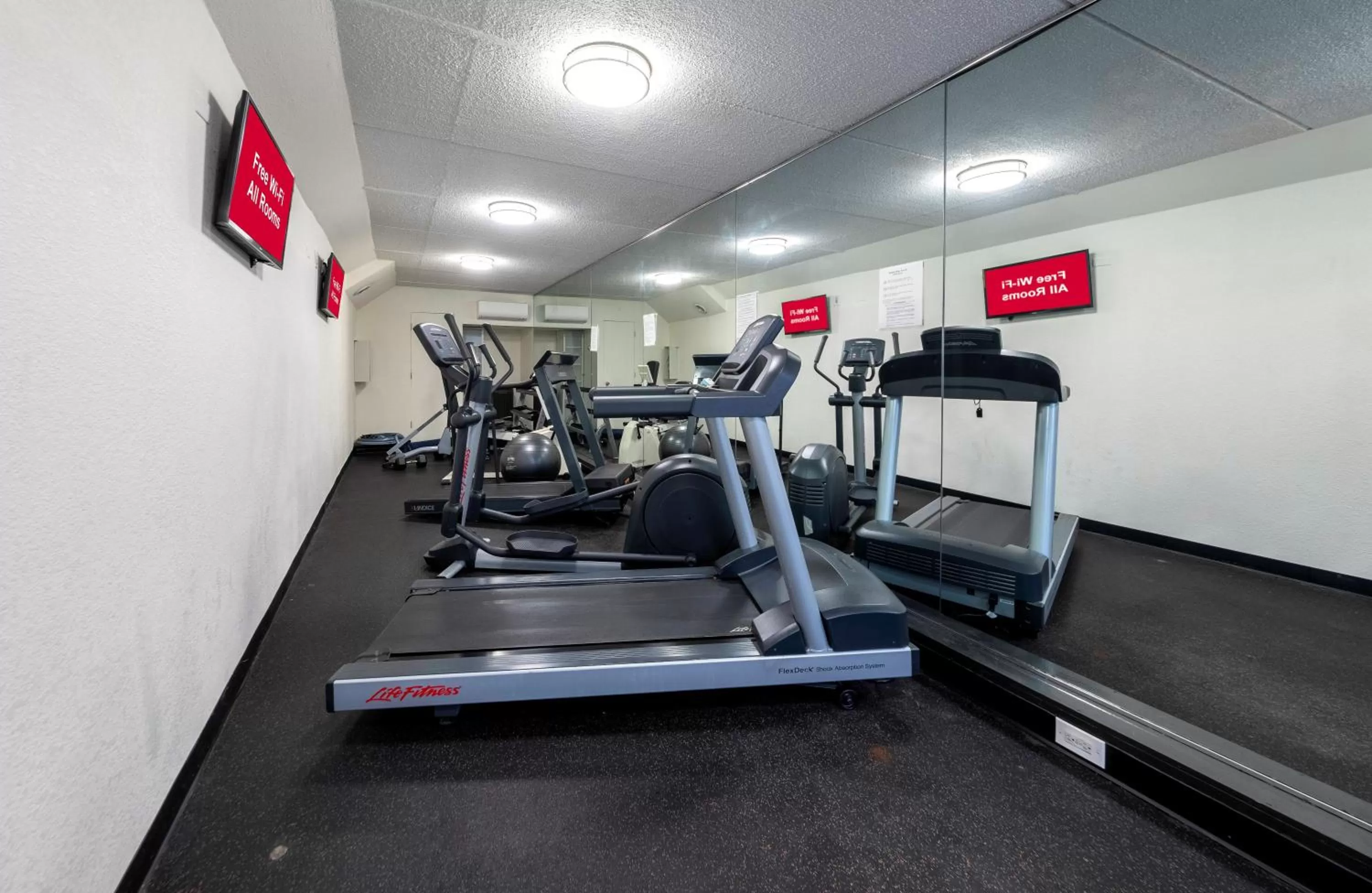 Fitness centre/facilities in Red Roof PLUS Newark Liberty Airport - Carteret