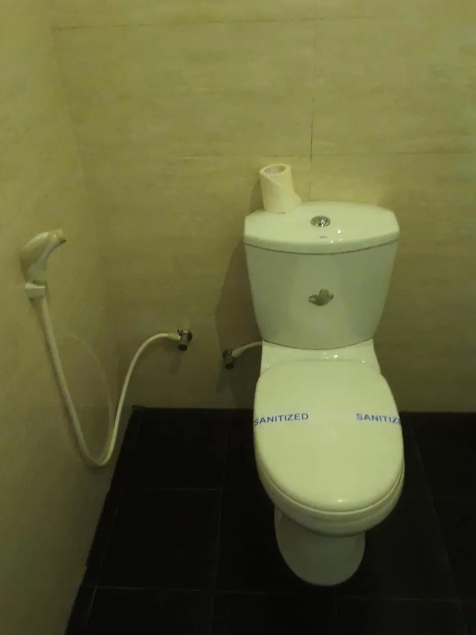 Toilet in Villa DeLorenta