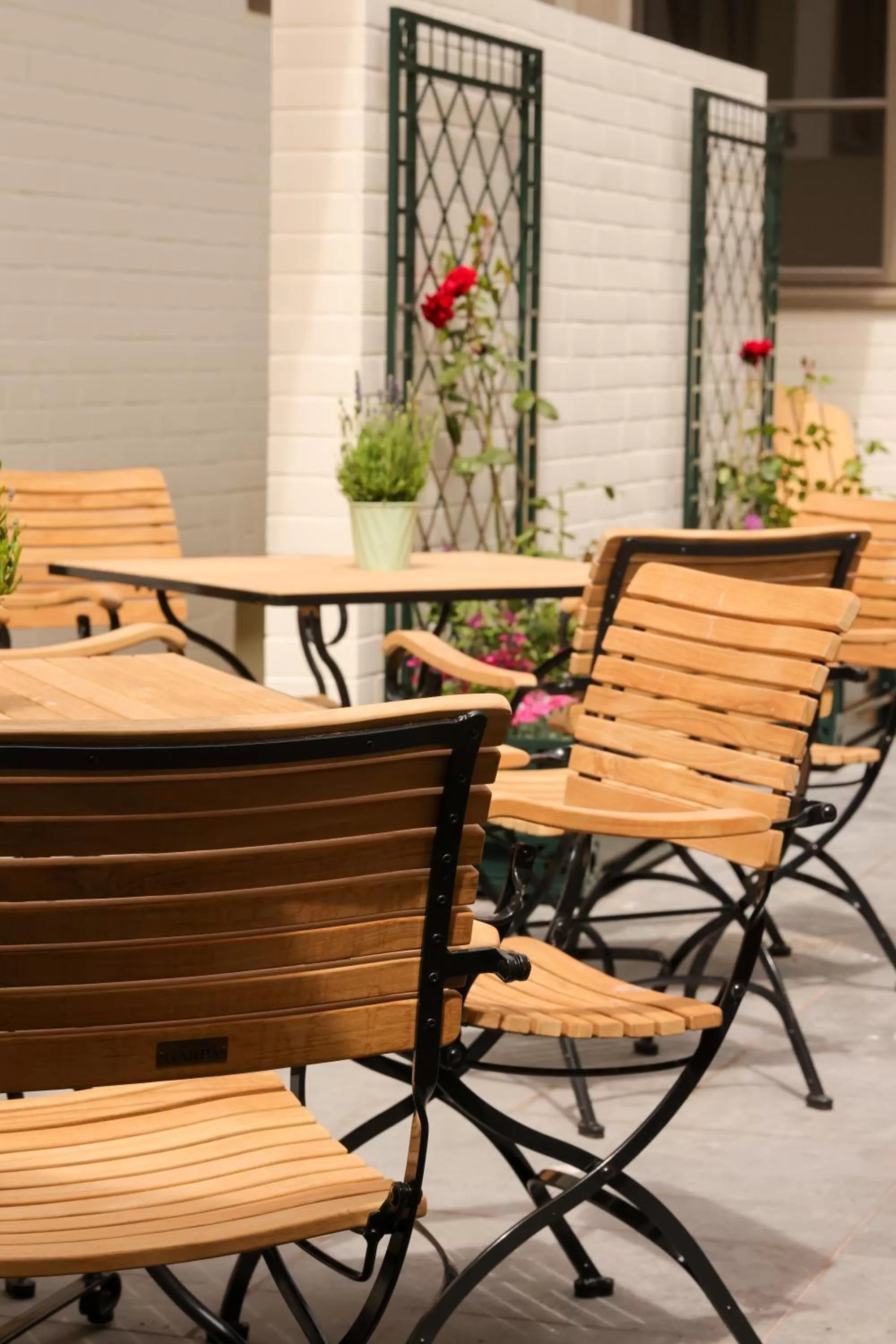 Balcony/Terrace in Mimosa Hotel