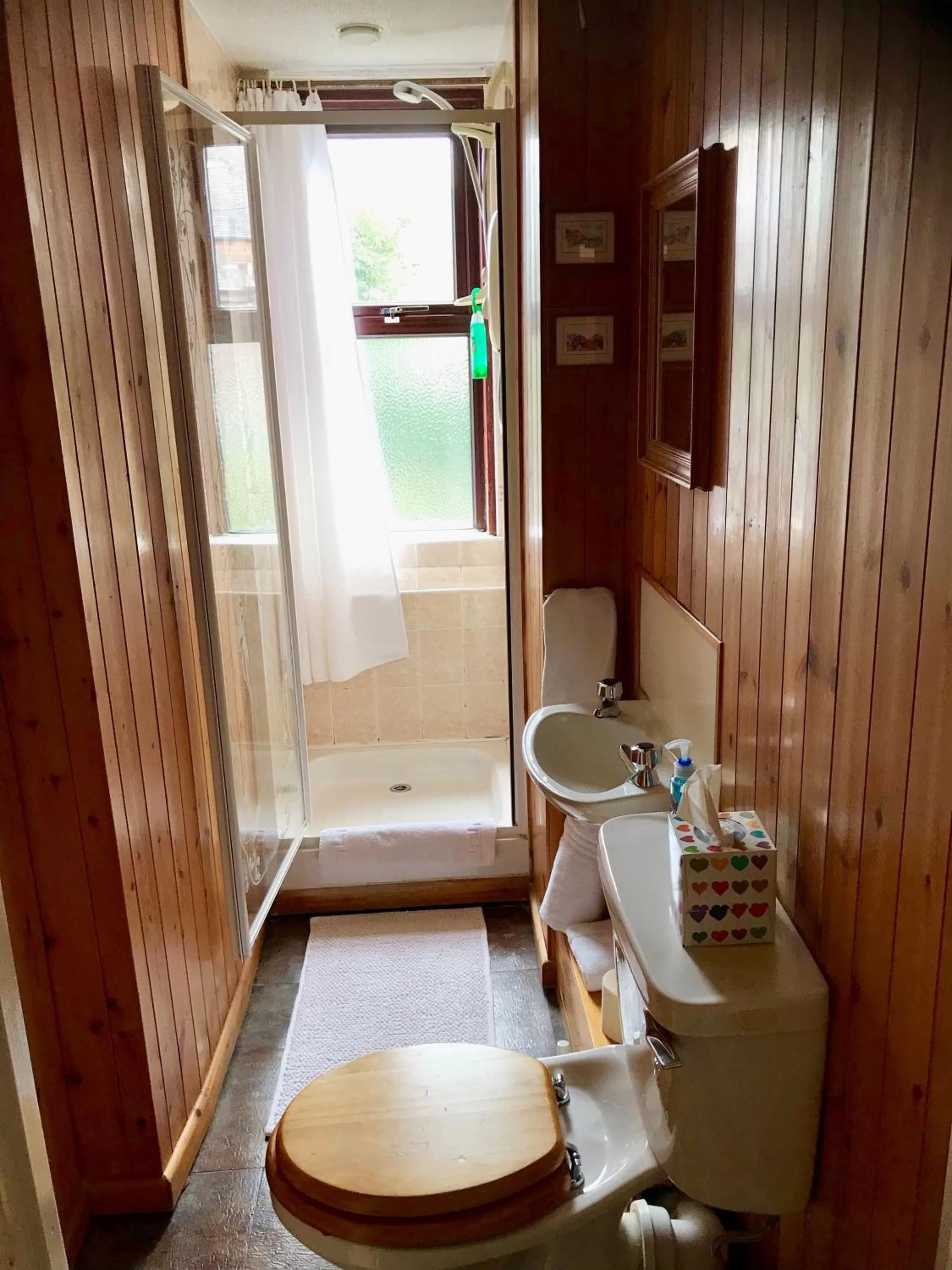 Toilet in Ferintosh Guest House