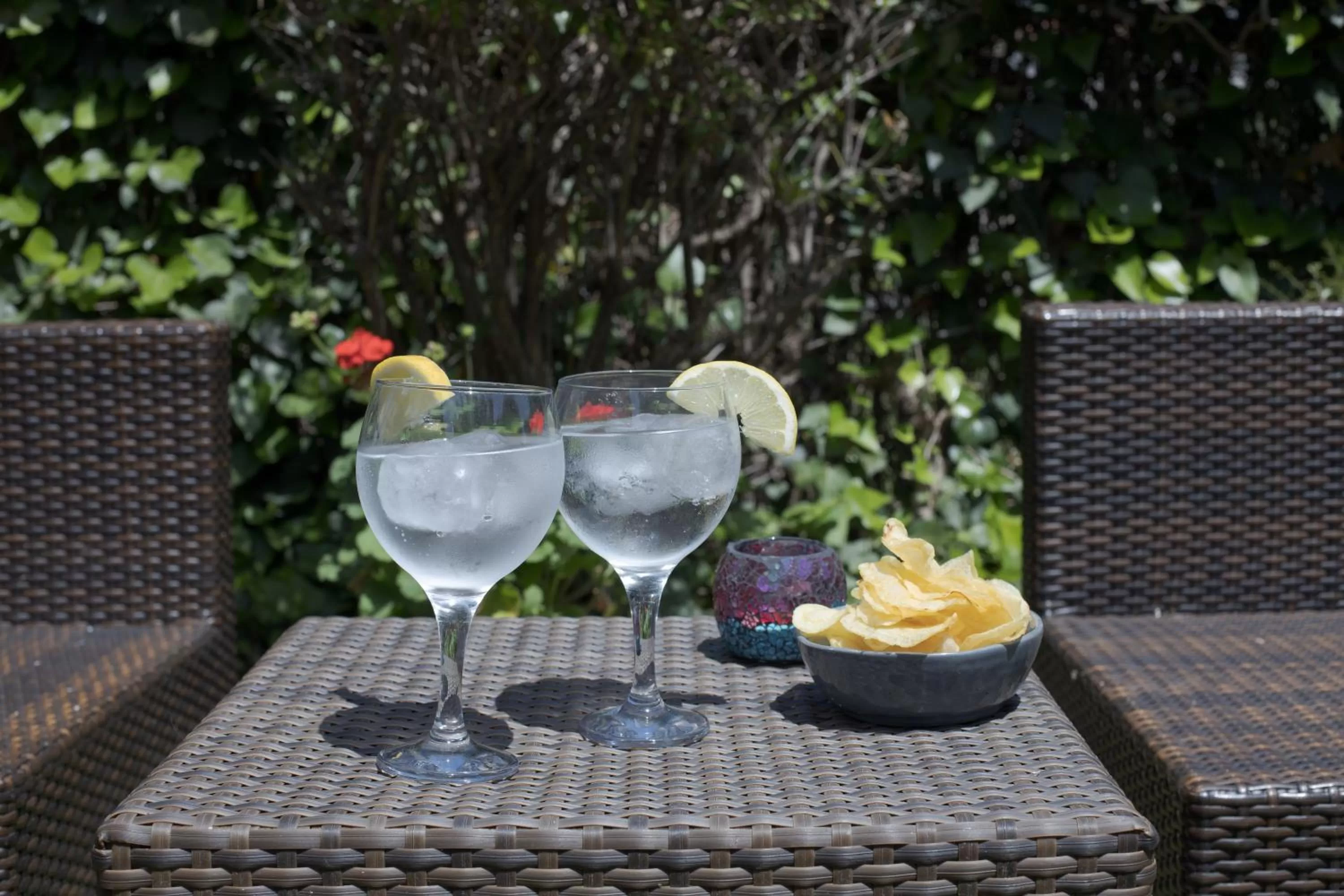 Drinks in Hotel Alta Garrotxa