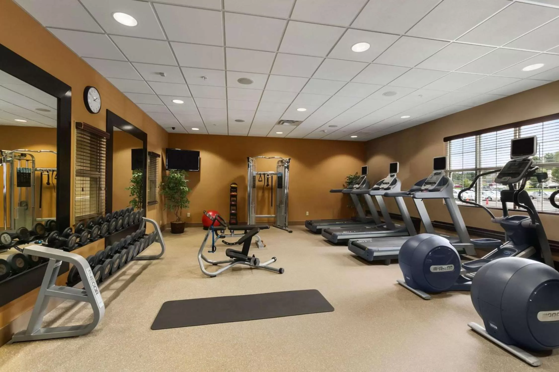 Fitness centre/facilities in Homewood Suites by Hilton Binghamton/Vestal