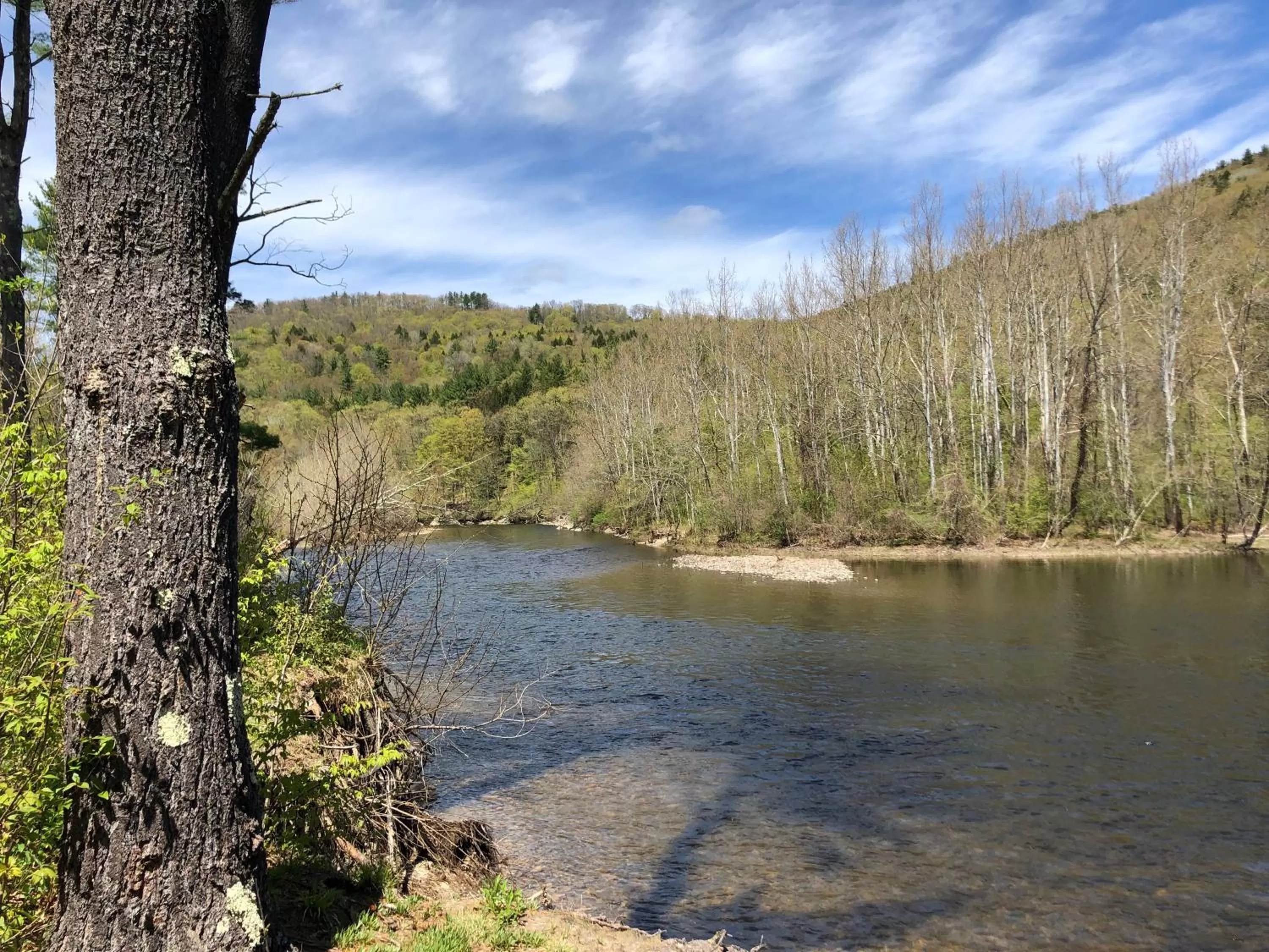 Natural landscape in The Lodge at West River