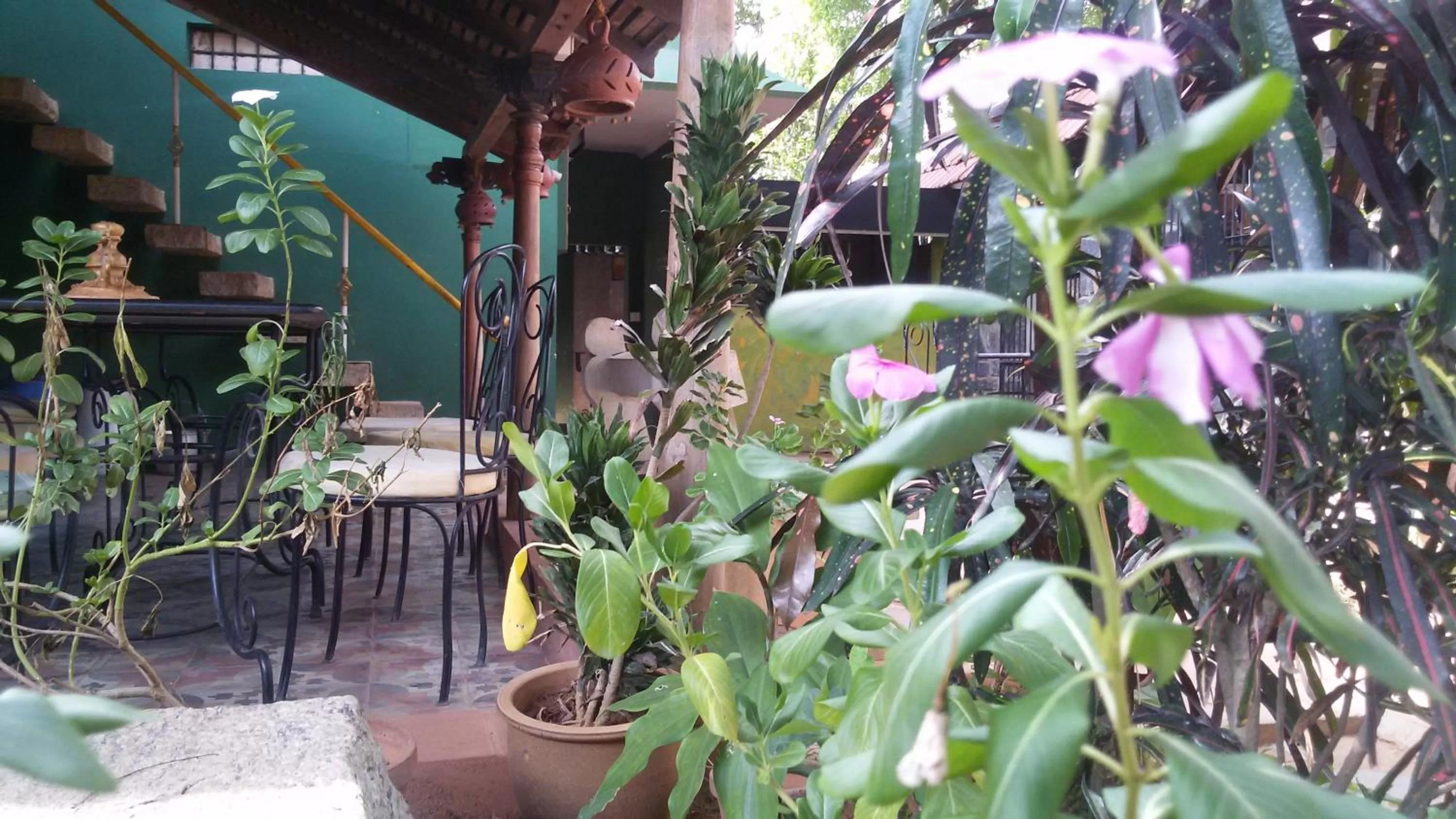 Restaurant/places to eat in Green's Guest House