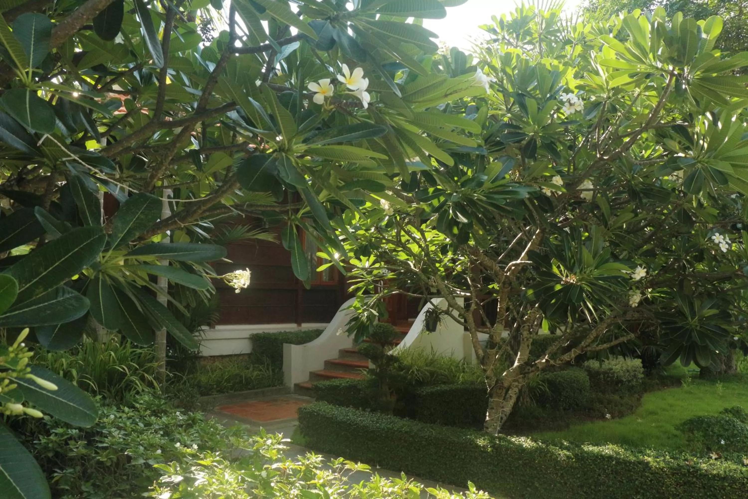 Garden view, Swimming Pool in Try Palace Resort-Kep