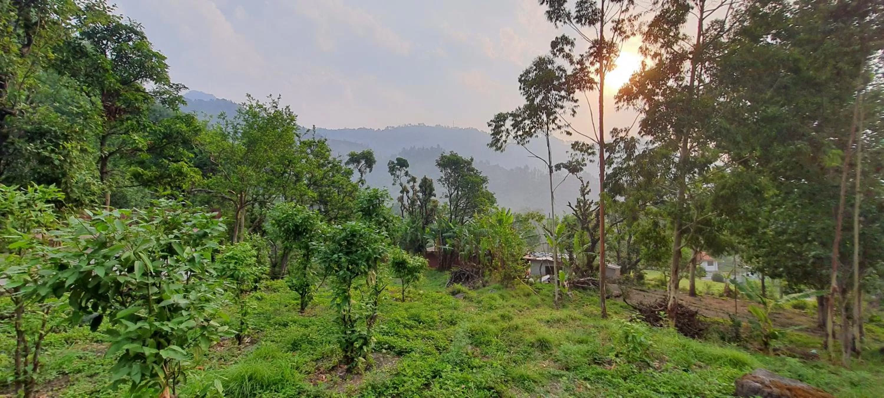 Karthik Resorts, Jeolikote Nainital