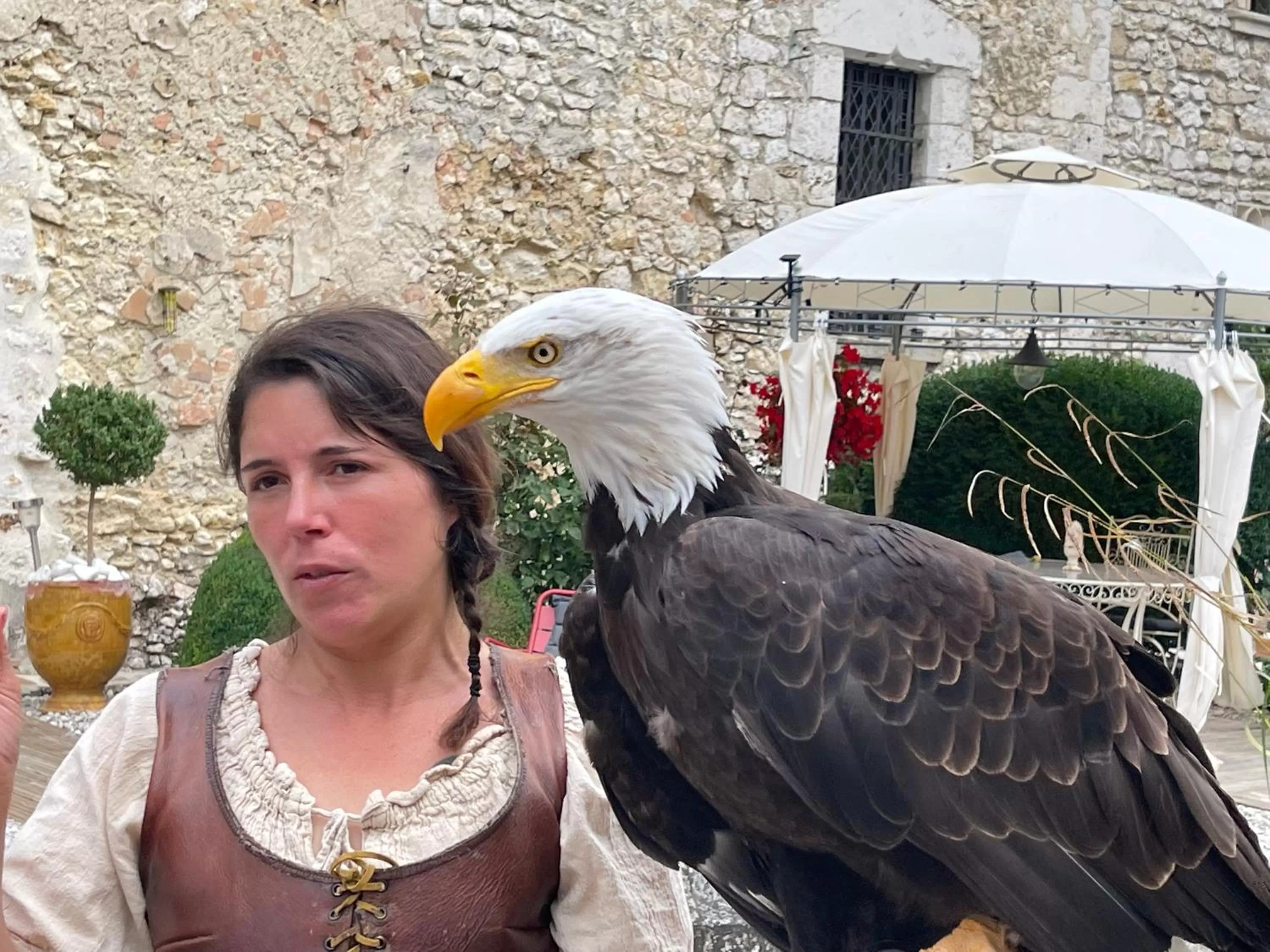 Evening entertainment in Demeure des Vieux Bains