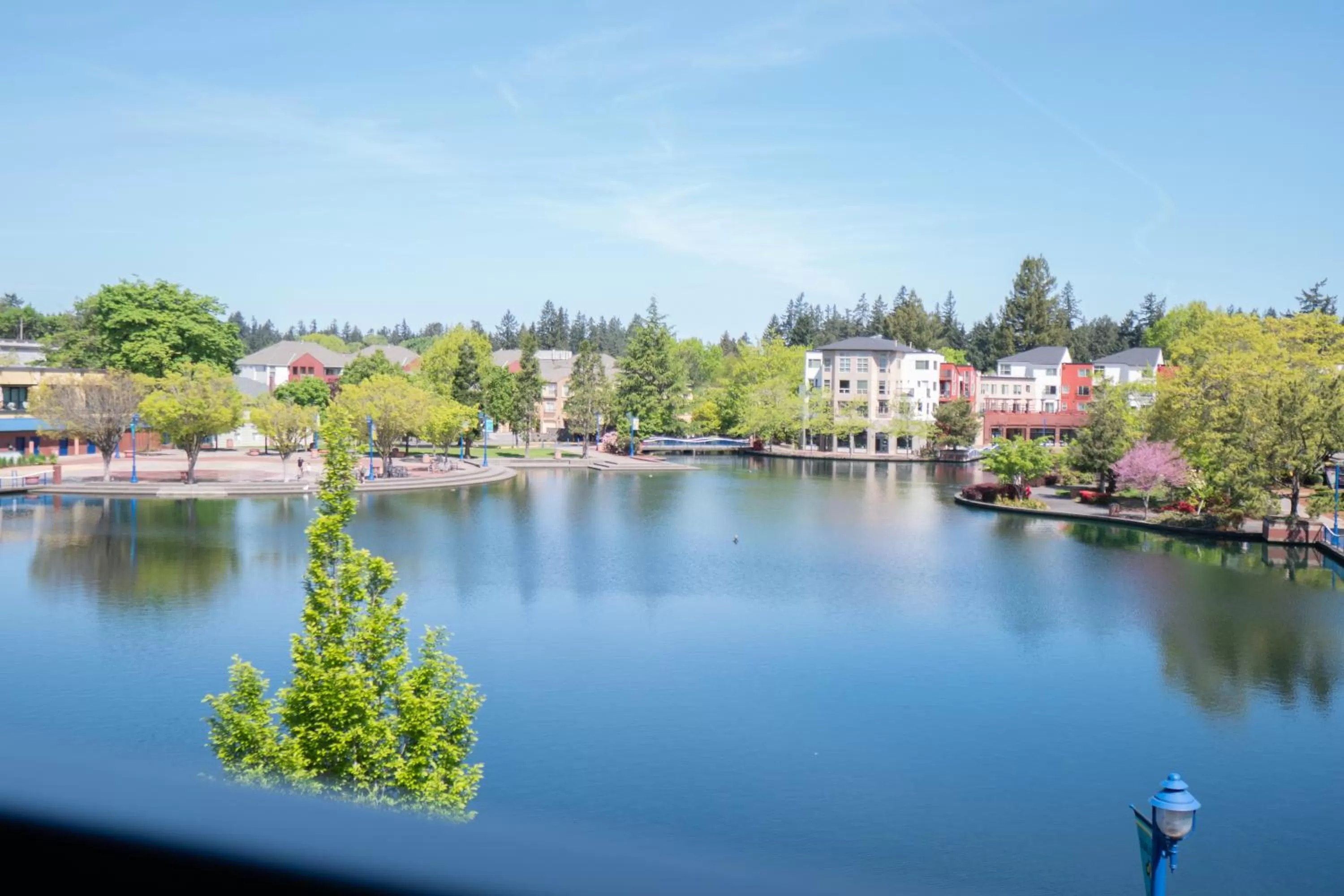 Natural landscape in Century Hotel