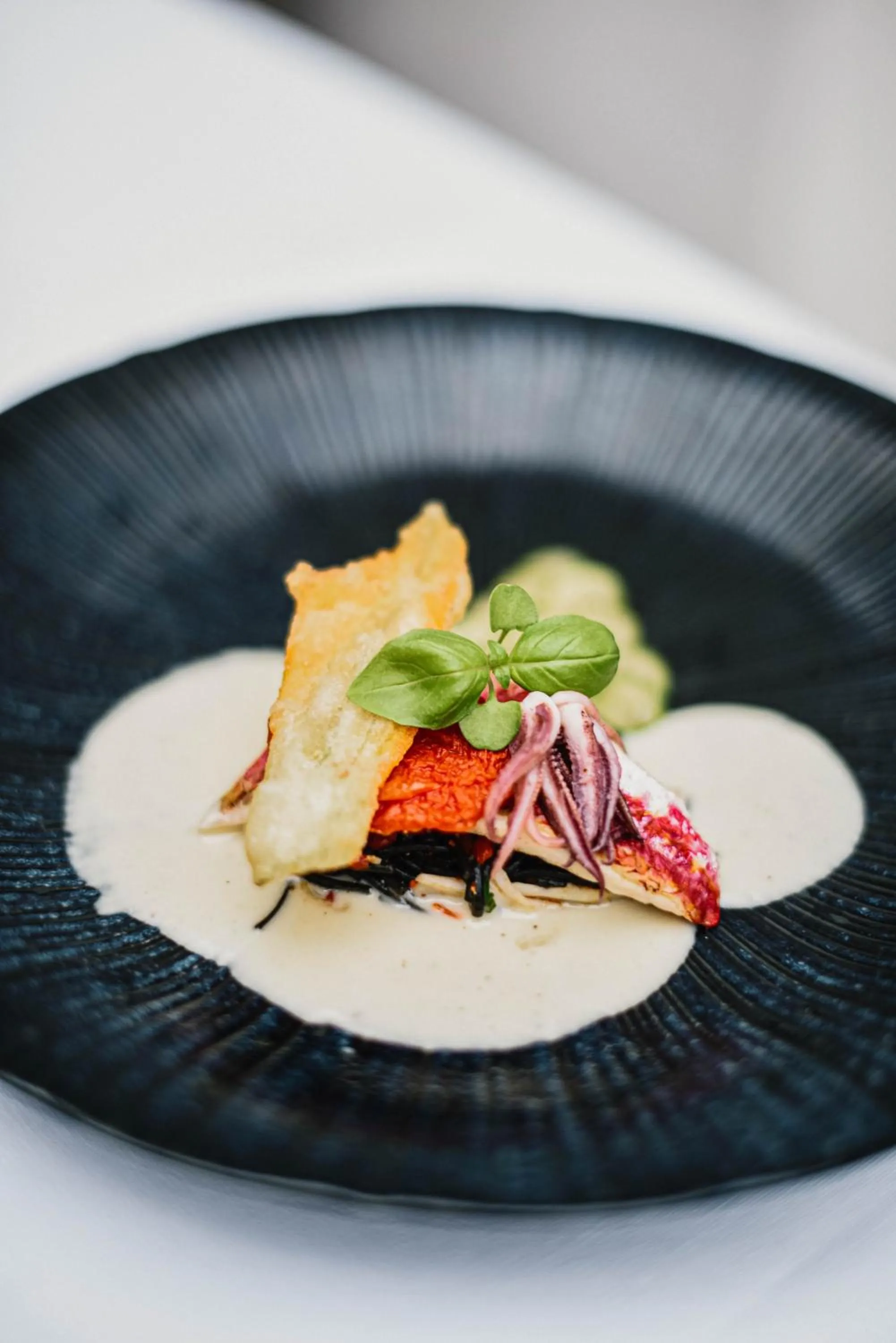 Food and drinks in Hotel FRANQ